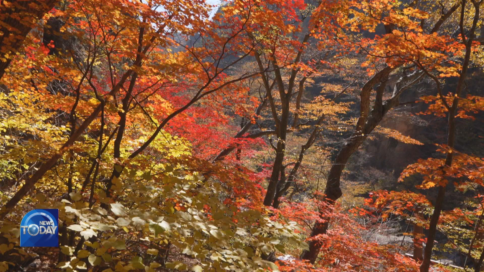 TOURISTS FLOCK TO MT. SEORAKSAN