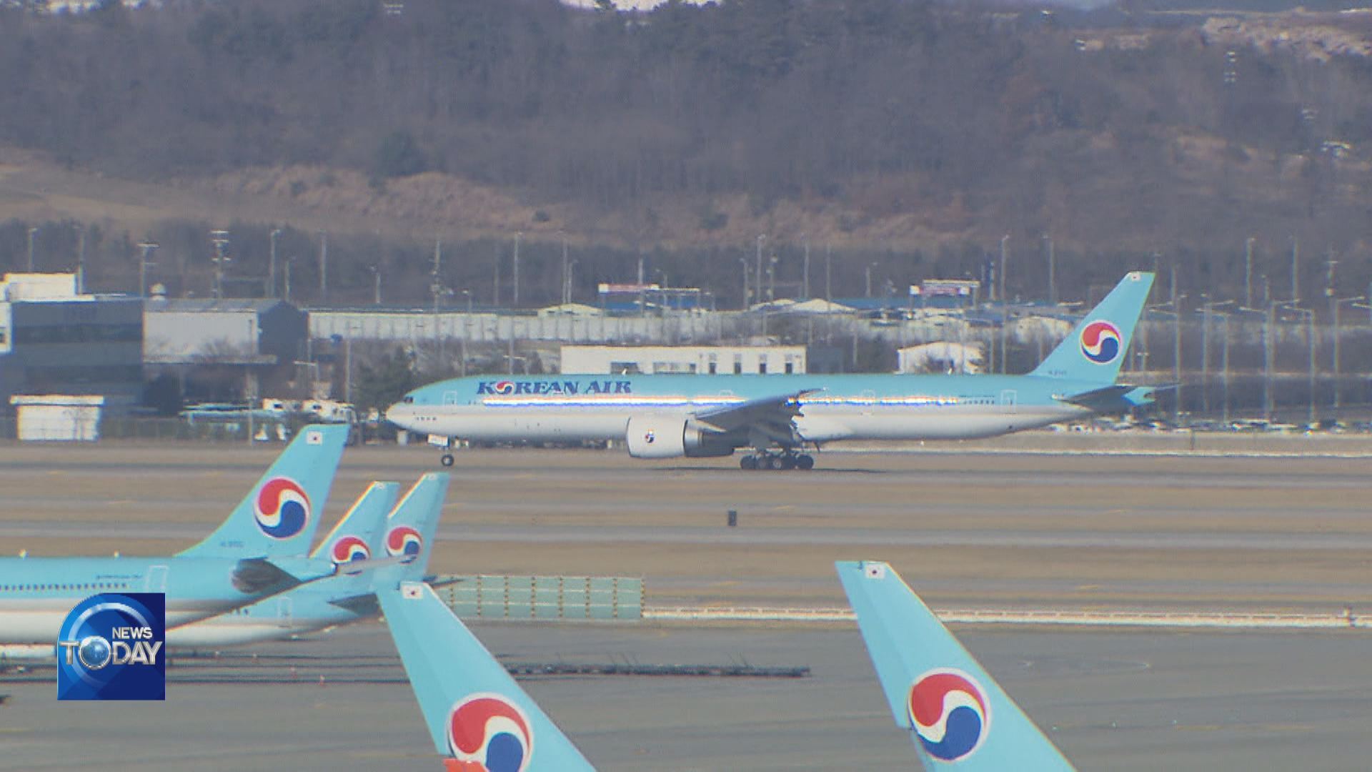 U.S. HOLDS BRAKE ON AIRLINE MERGER