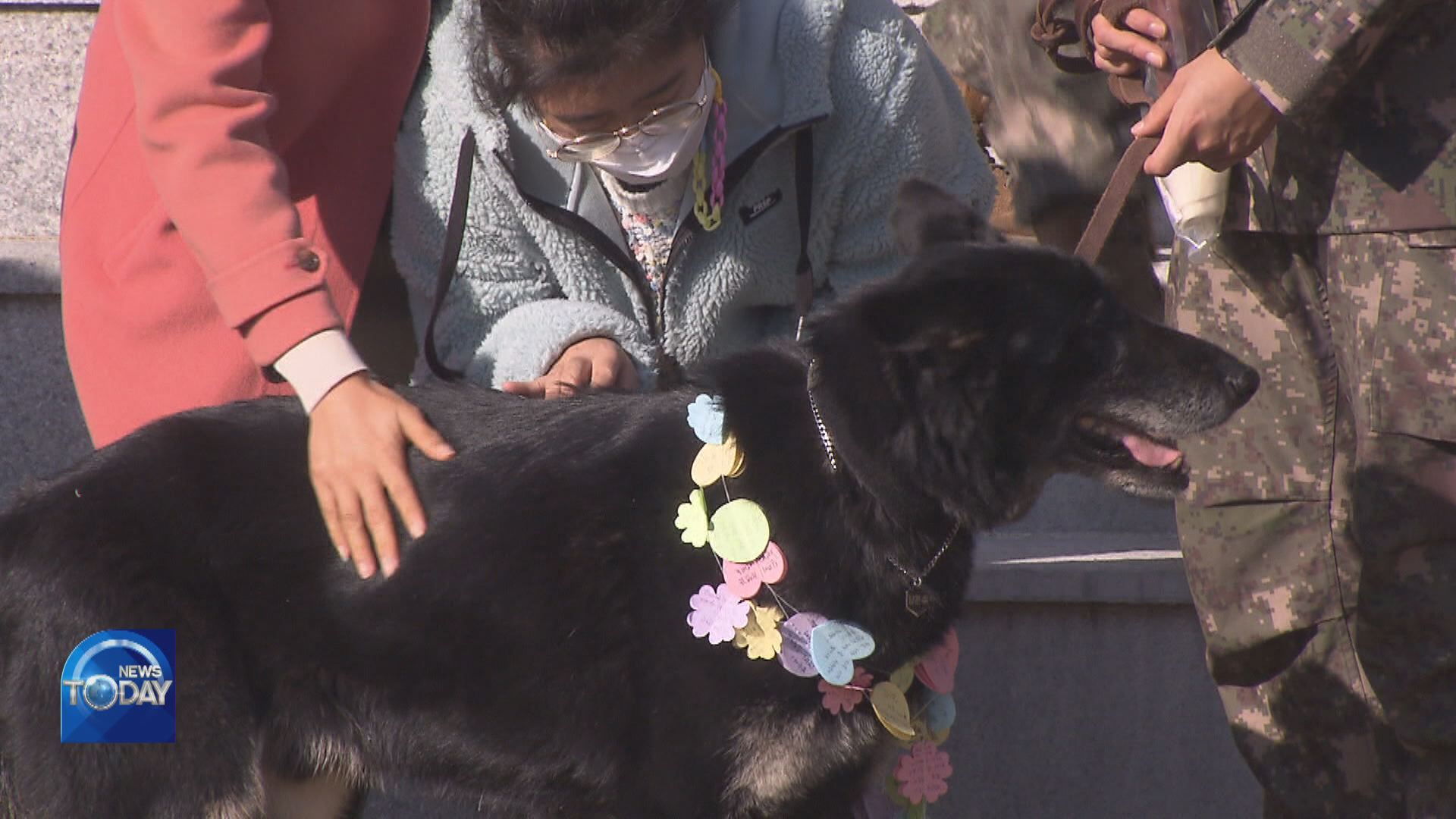HEROIC RESCUE DOG RETIRES WITH HONORS