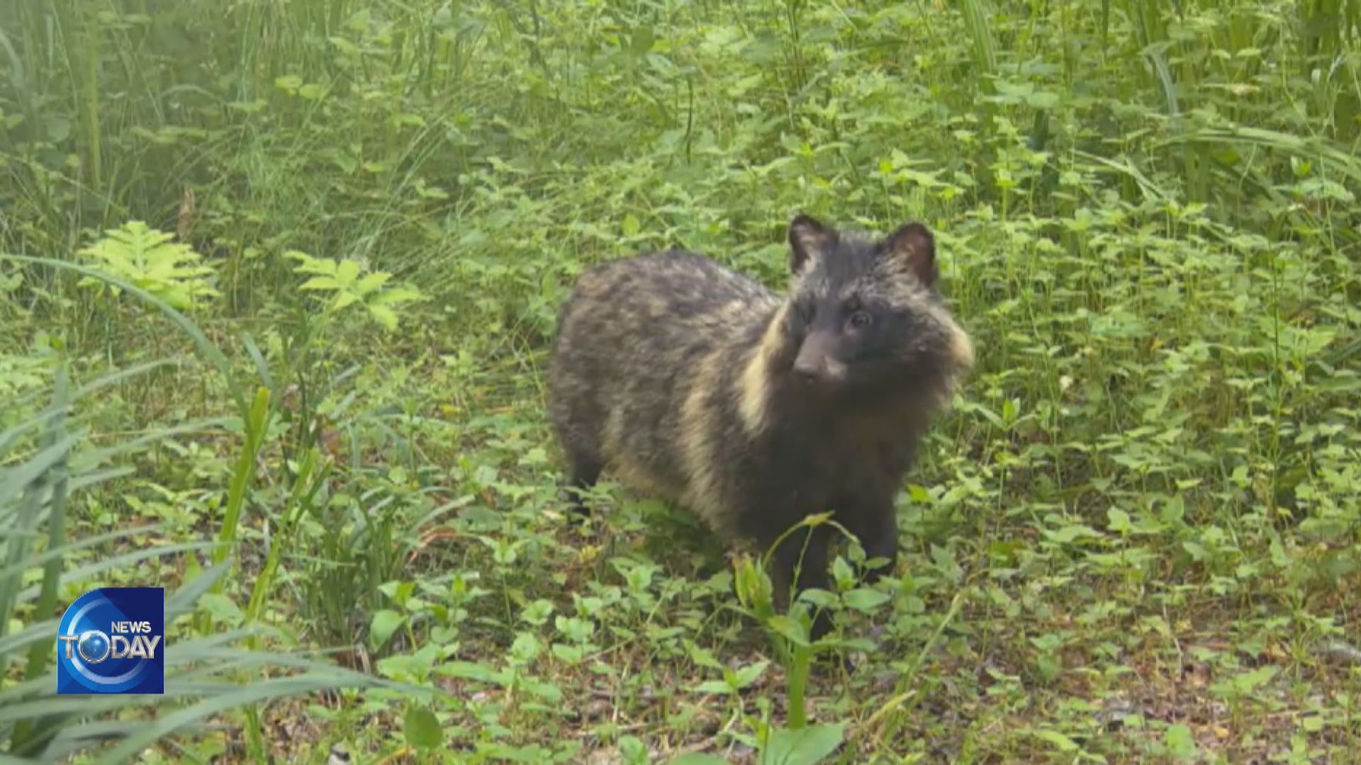 CITIZENS MAKE ECOLOGICAL DISCOVERIES