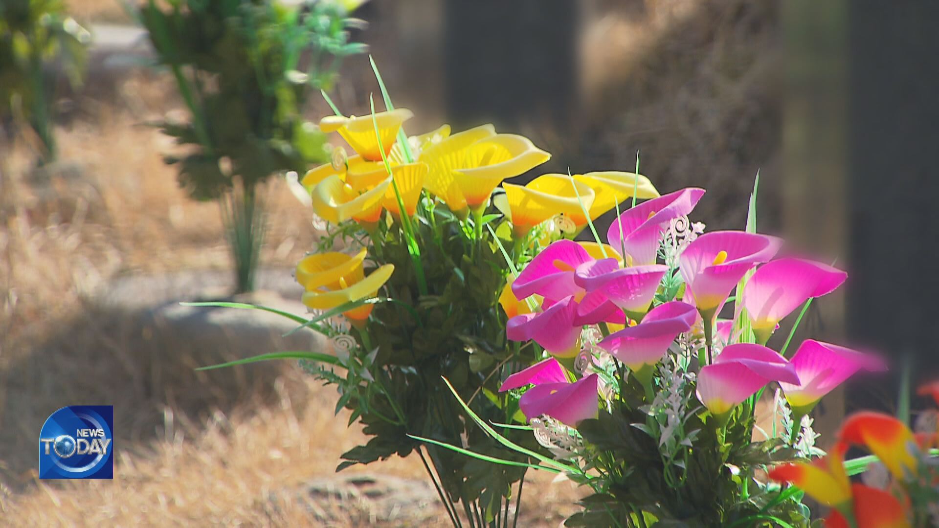 REAL FLOWERS REPLACE PLASTIC AT CEMETERIES