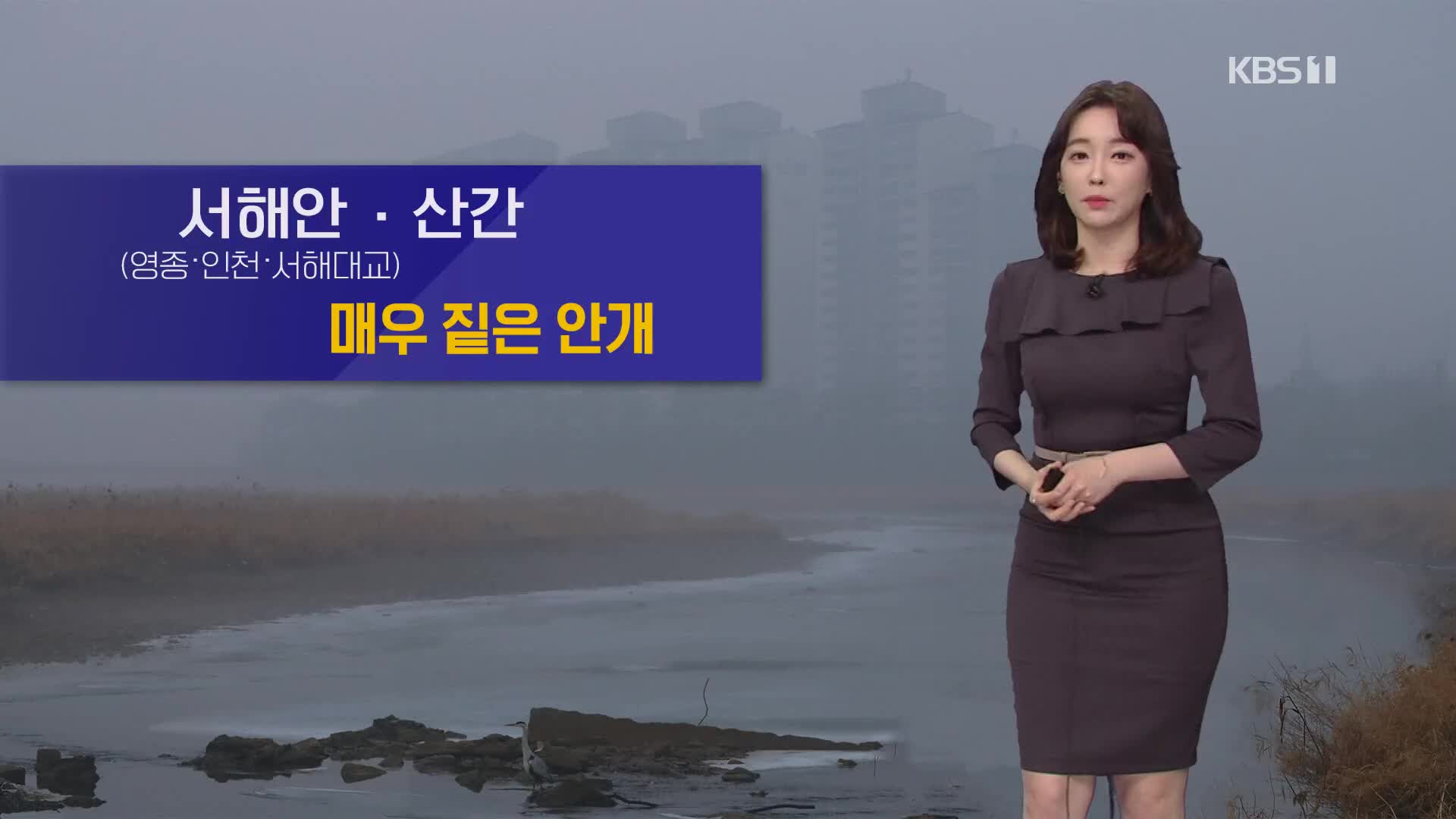 [날씨] 오늘 짙은 안개, 수도권·충청에 미세먼지 농도↑