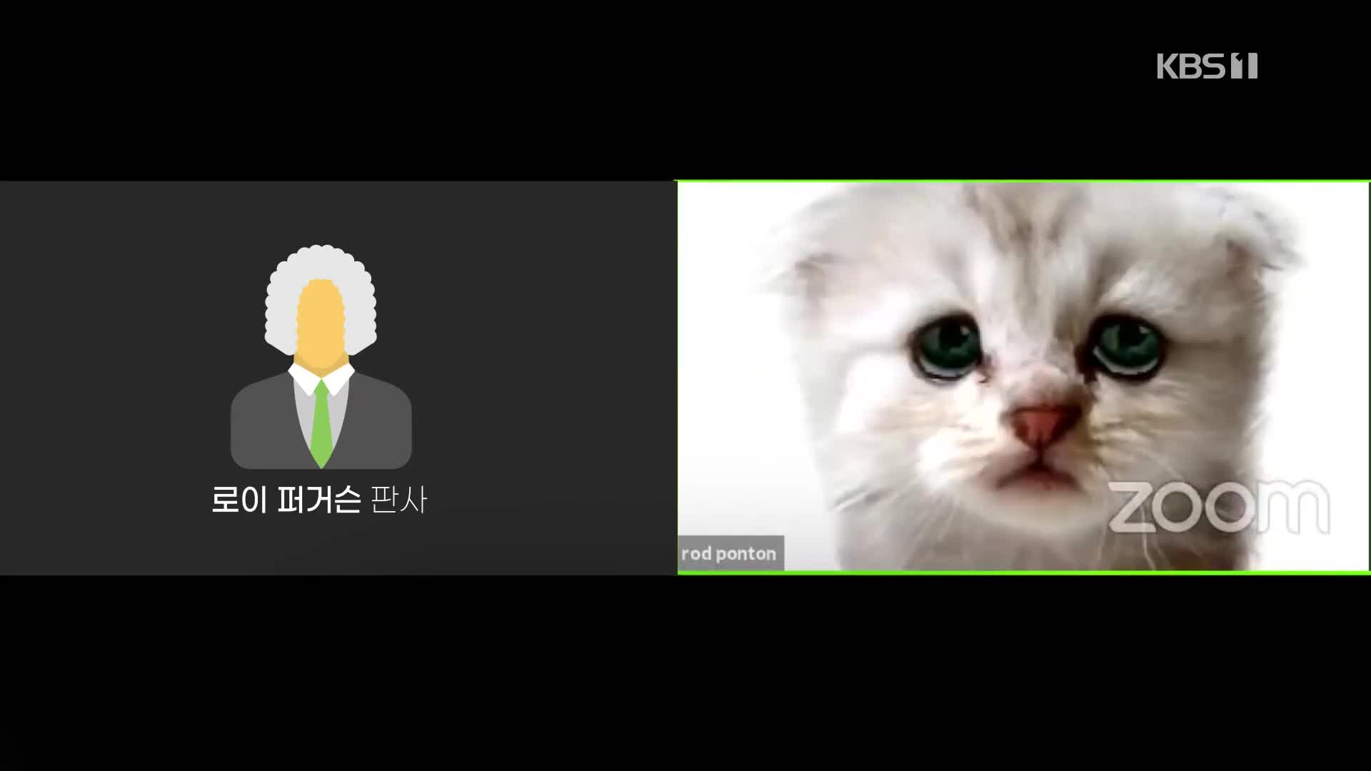 오늘의 영상