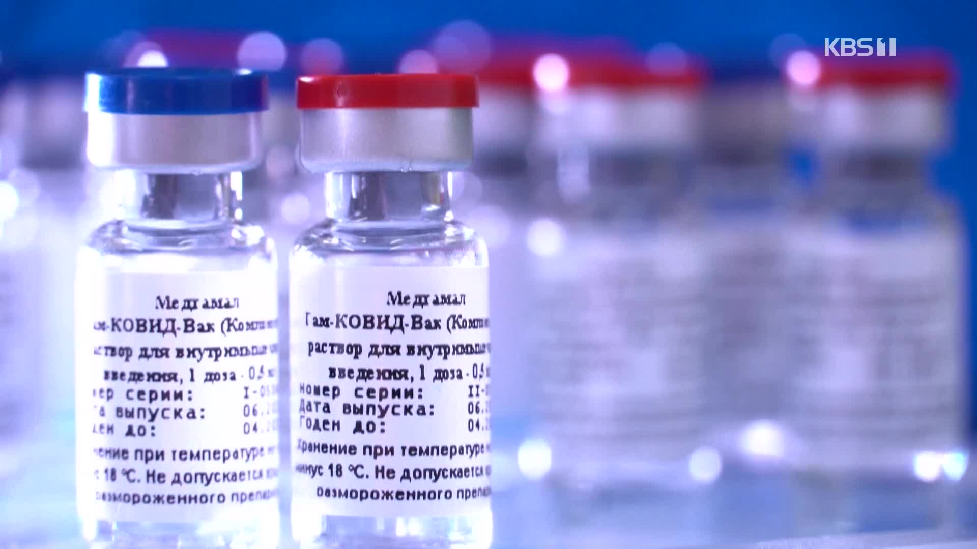 “이달까지 300만 명 접종…러시아 백신 자료 수집”