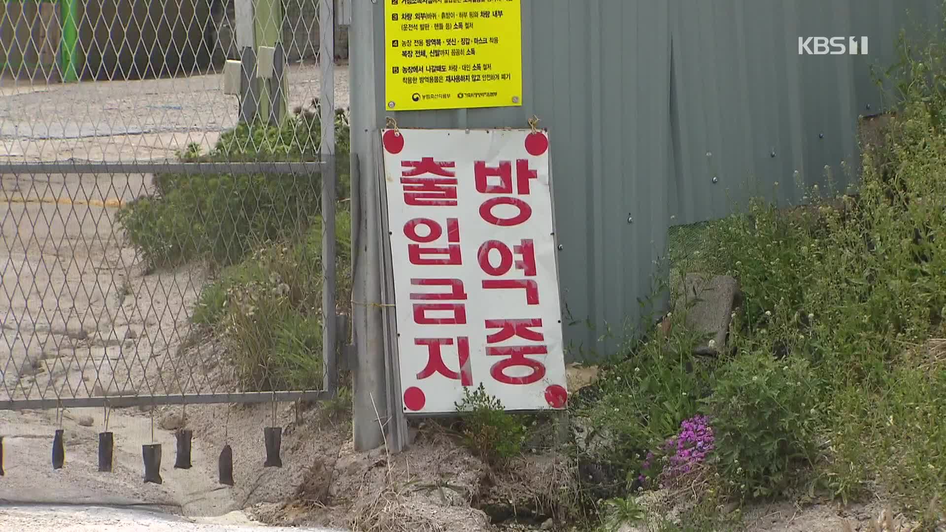 아프리카돼지열병 확산…“울타리로는 역부족”