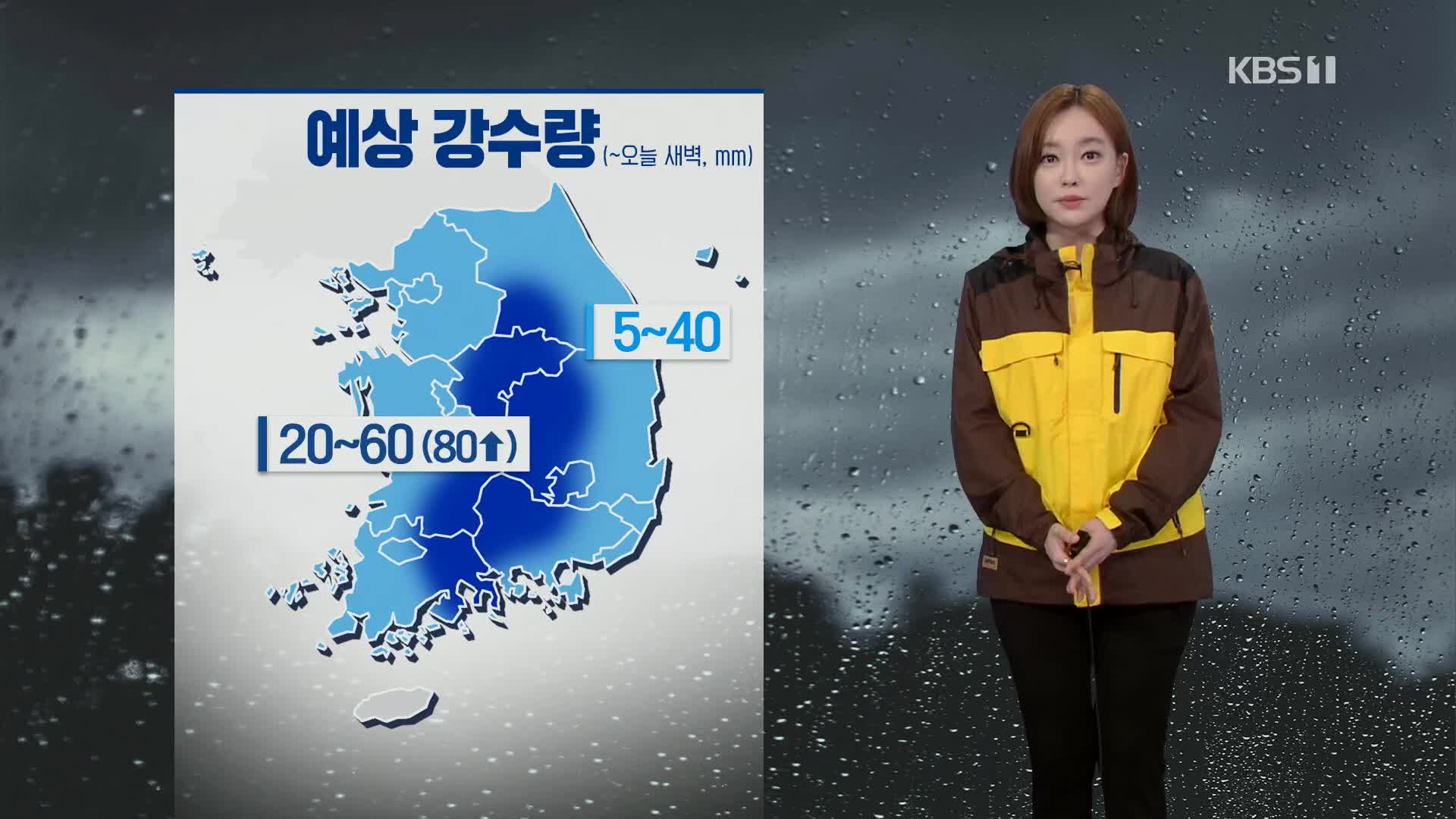 [뉴스라인 날씨] 밤사이 강원 영서·충북·영남 등에 강한 빗줄기