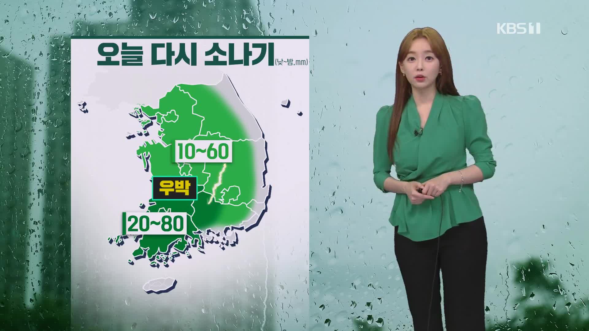[라인 날씨] 밤사이 요란한 소나기…오늘도 곳곳에 강한 비·소나기 계속