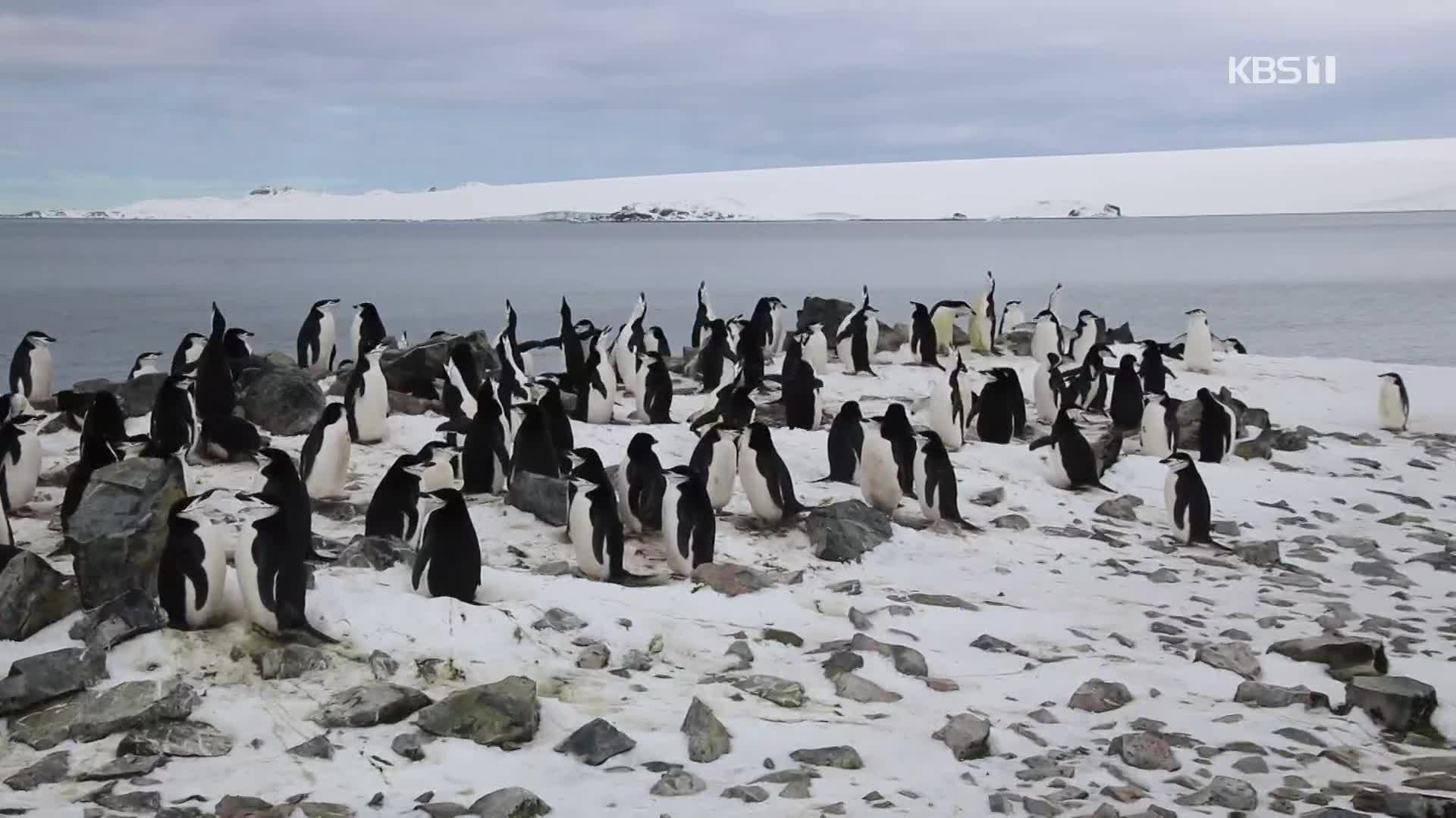 오늘 ‘세계 기후 정의를 위한 행동의 날’…남극에서 느껴지는 기후 변화는? 