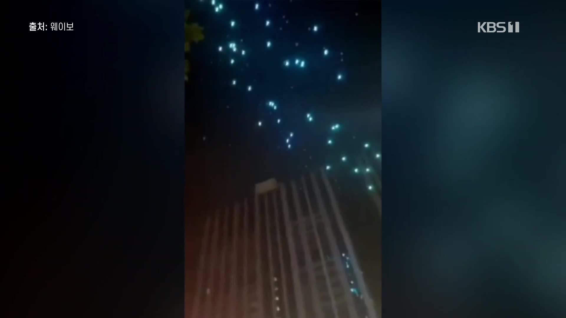 오늘의 영상