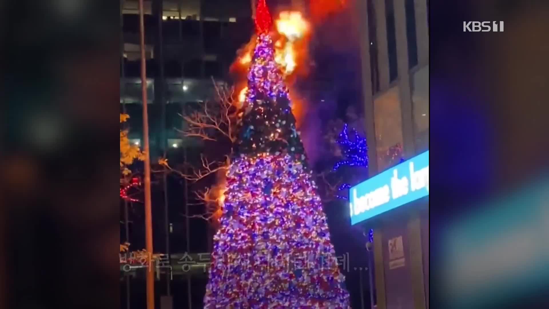 오늘의 영상