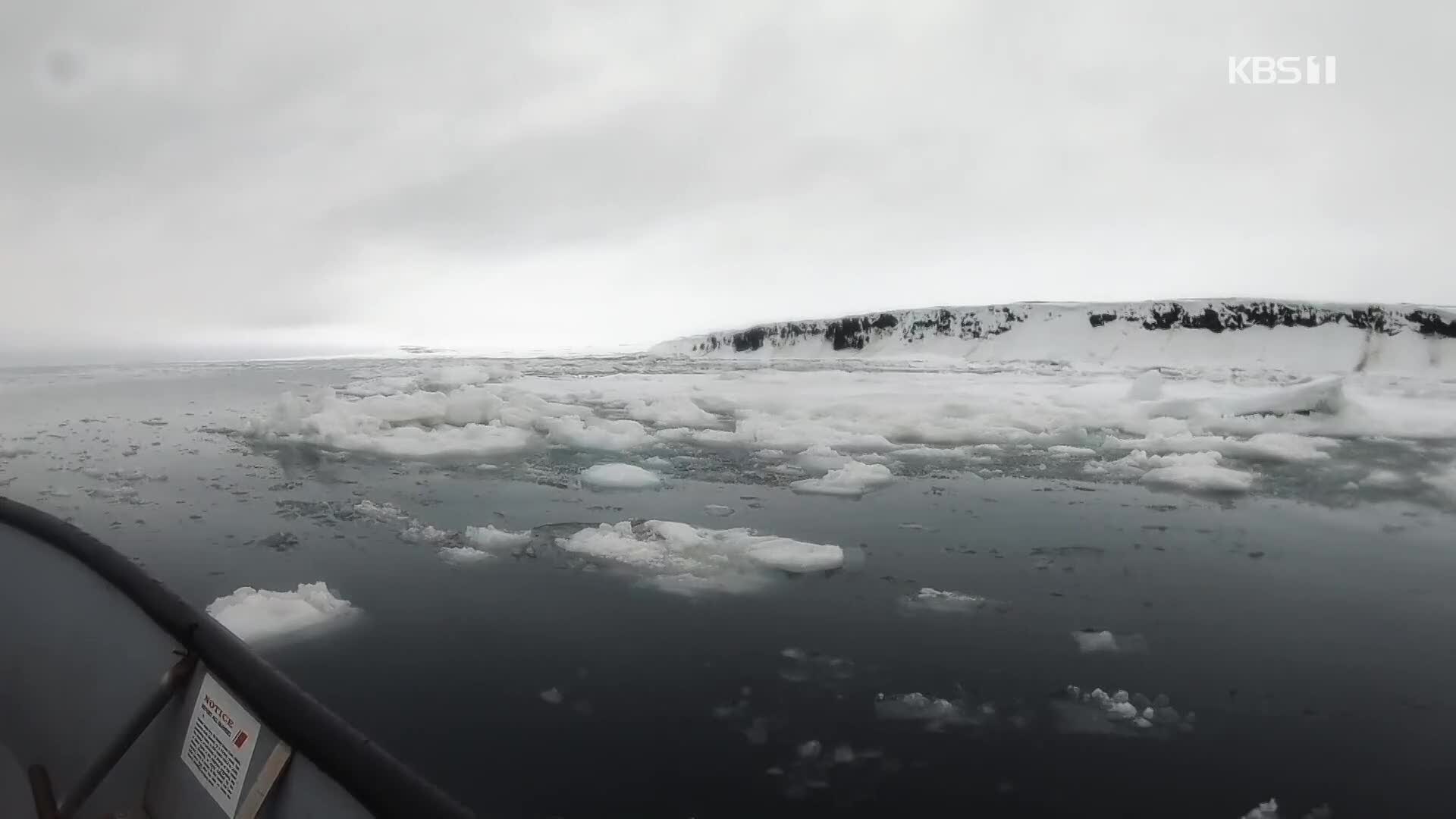 서울보다 따뜻한 알래스카 ‘영상 20도’…“온난화 가장 빠르게 진행”