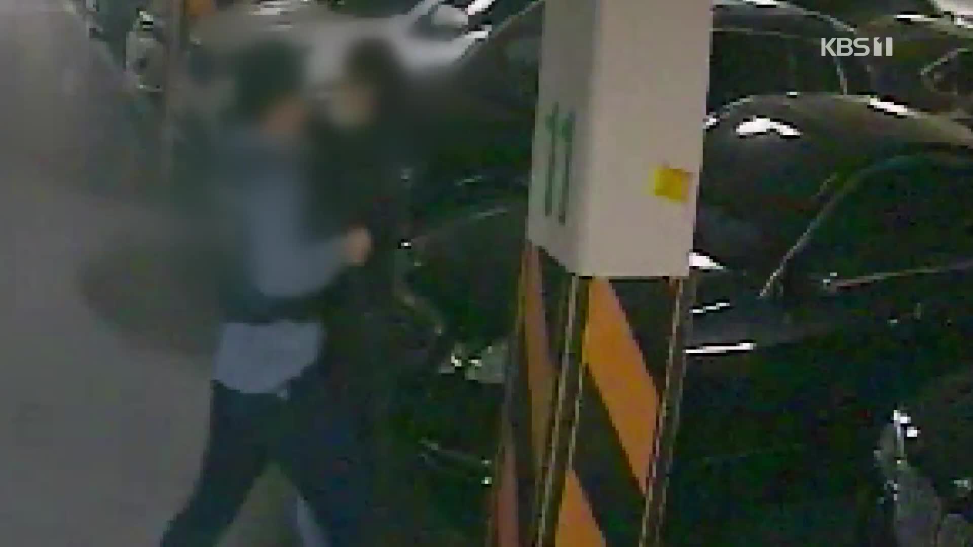 보안업체 직원이 몸싸움 끝에 수배 중인 차량 절도범 검거