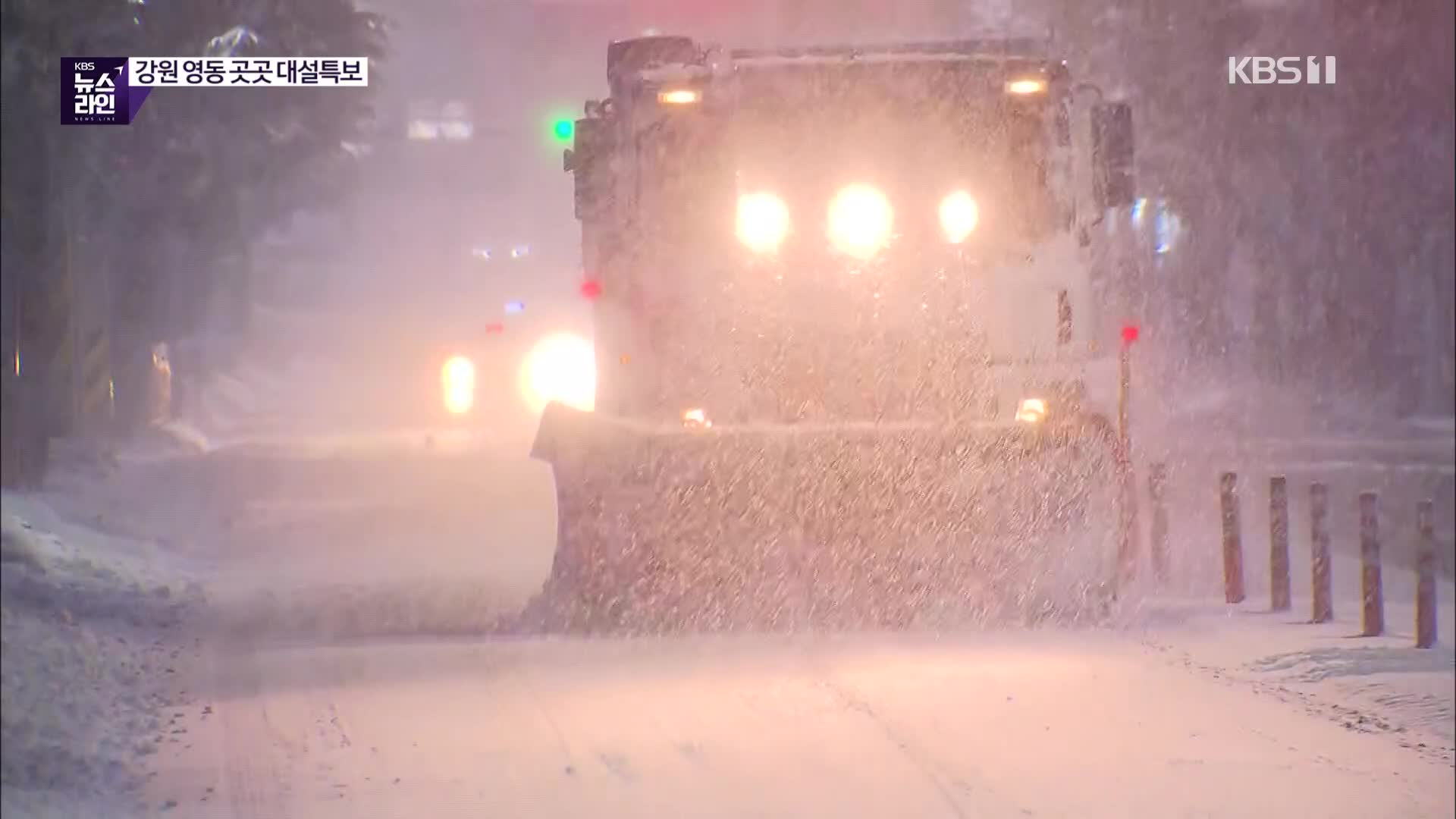 동해안 최고 20cm 눈…이 시각 영동