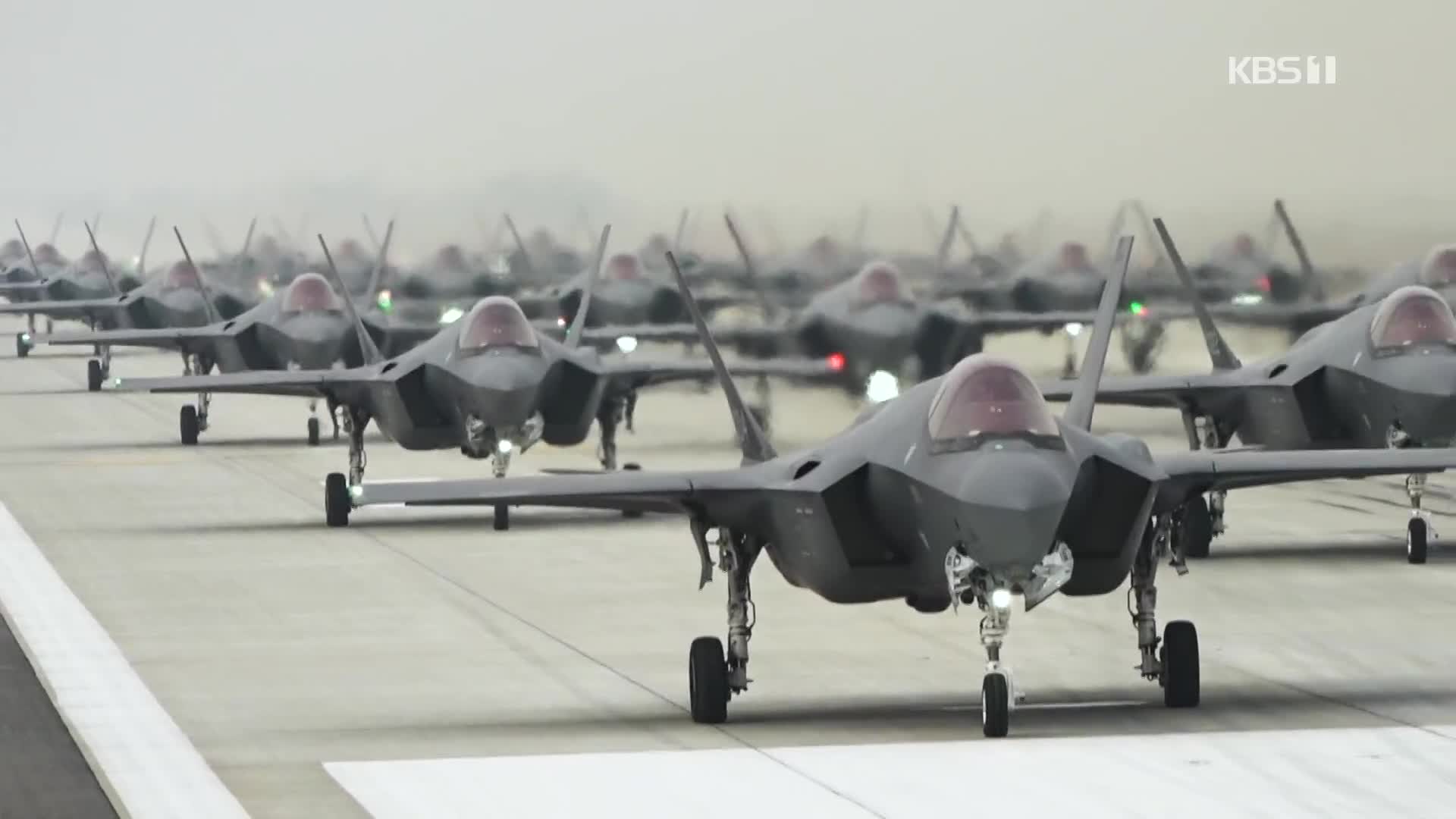 F-35A 스텔스기 대규모 훈련…대북 응징능력 과시