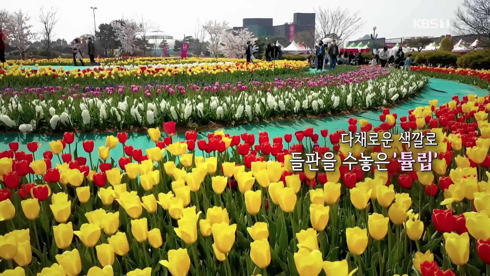 오늘의 영상
