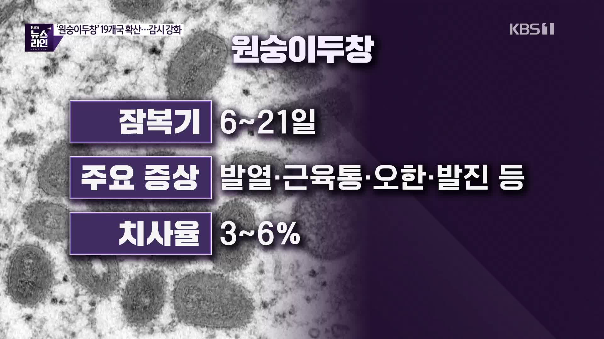 [심층인터뷰] ‘원숭이두창’ 19개국 확산…감시 강화