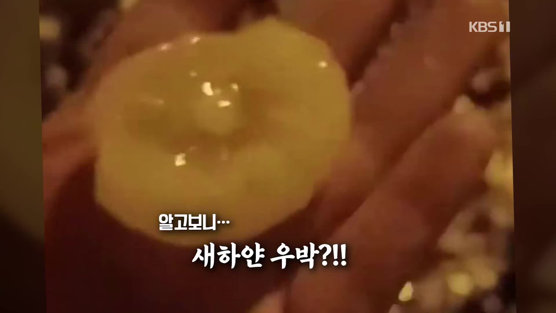 오늘의 영상