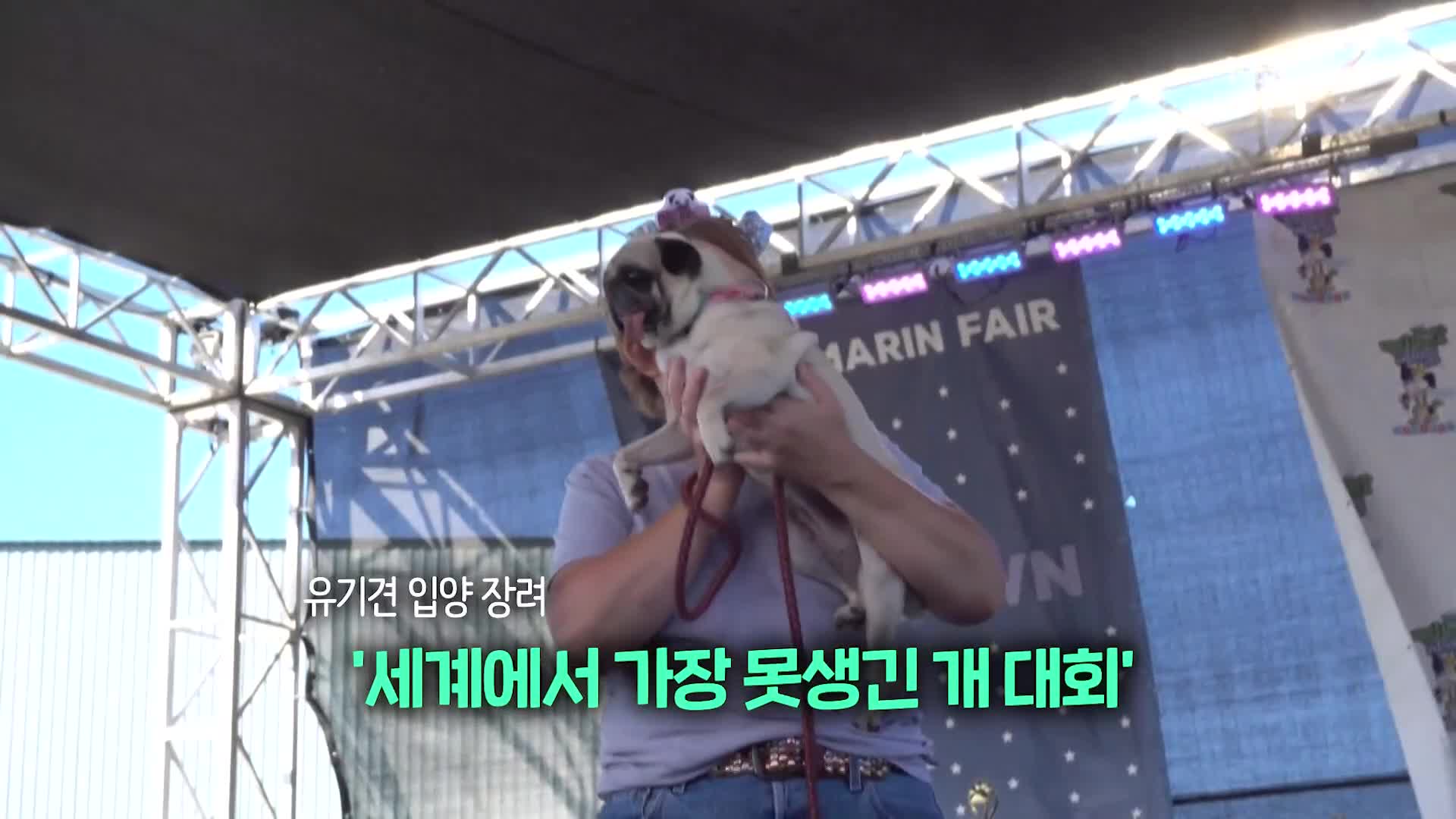 [오늘의 영상]
