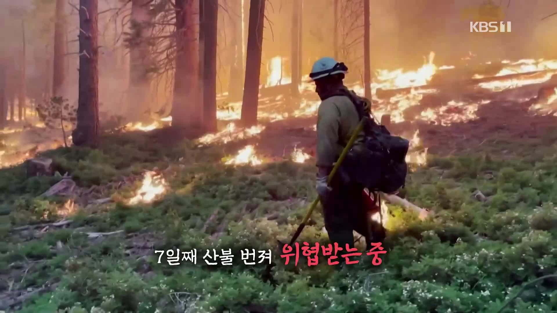 [오늘의 영상]