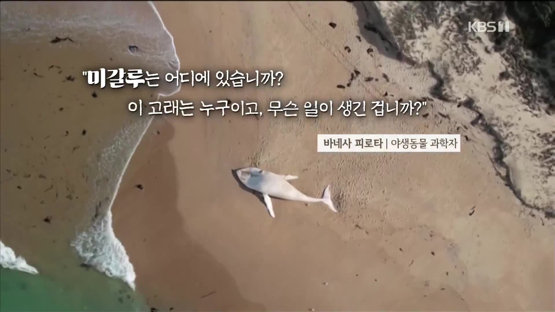 오늘의 영상