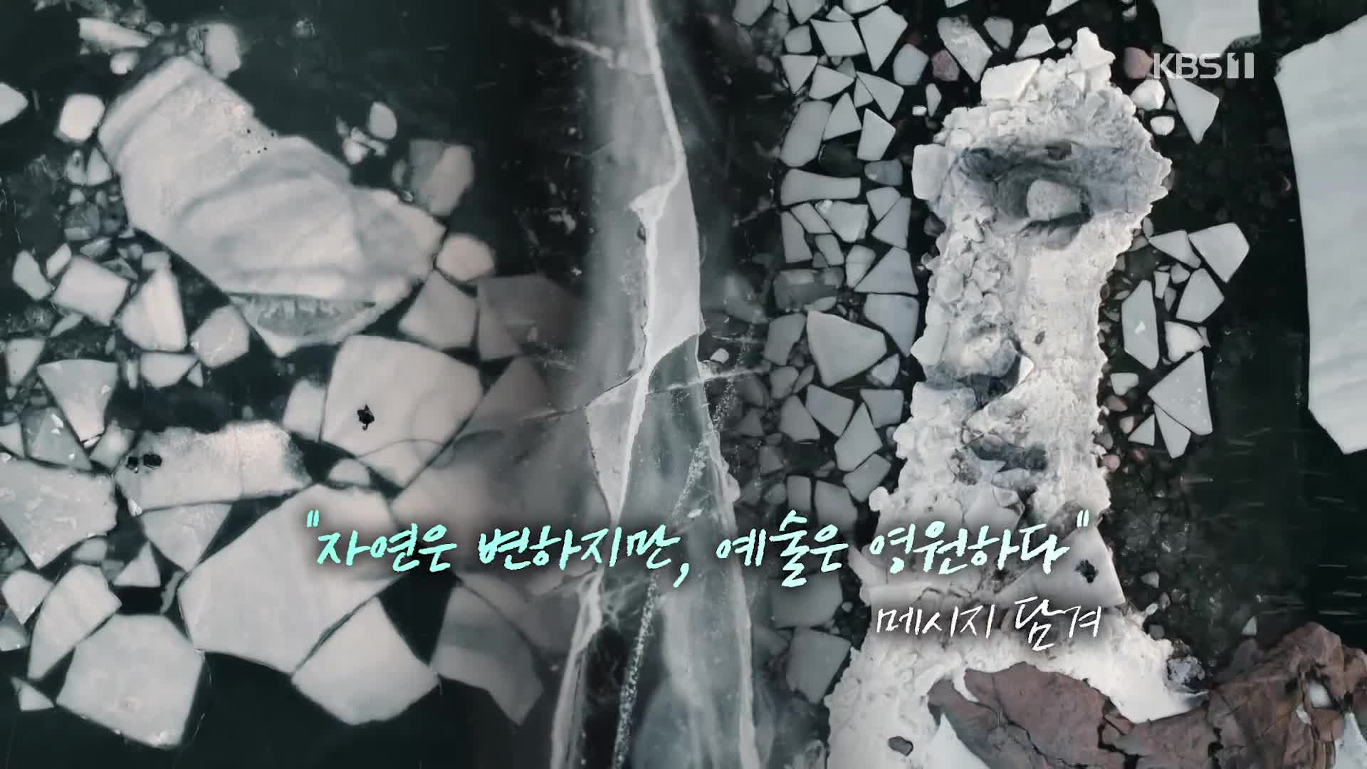 [오늘의 영상]