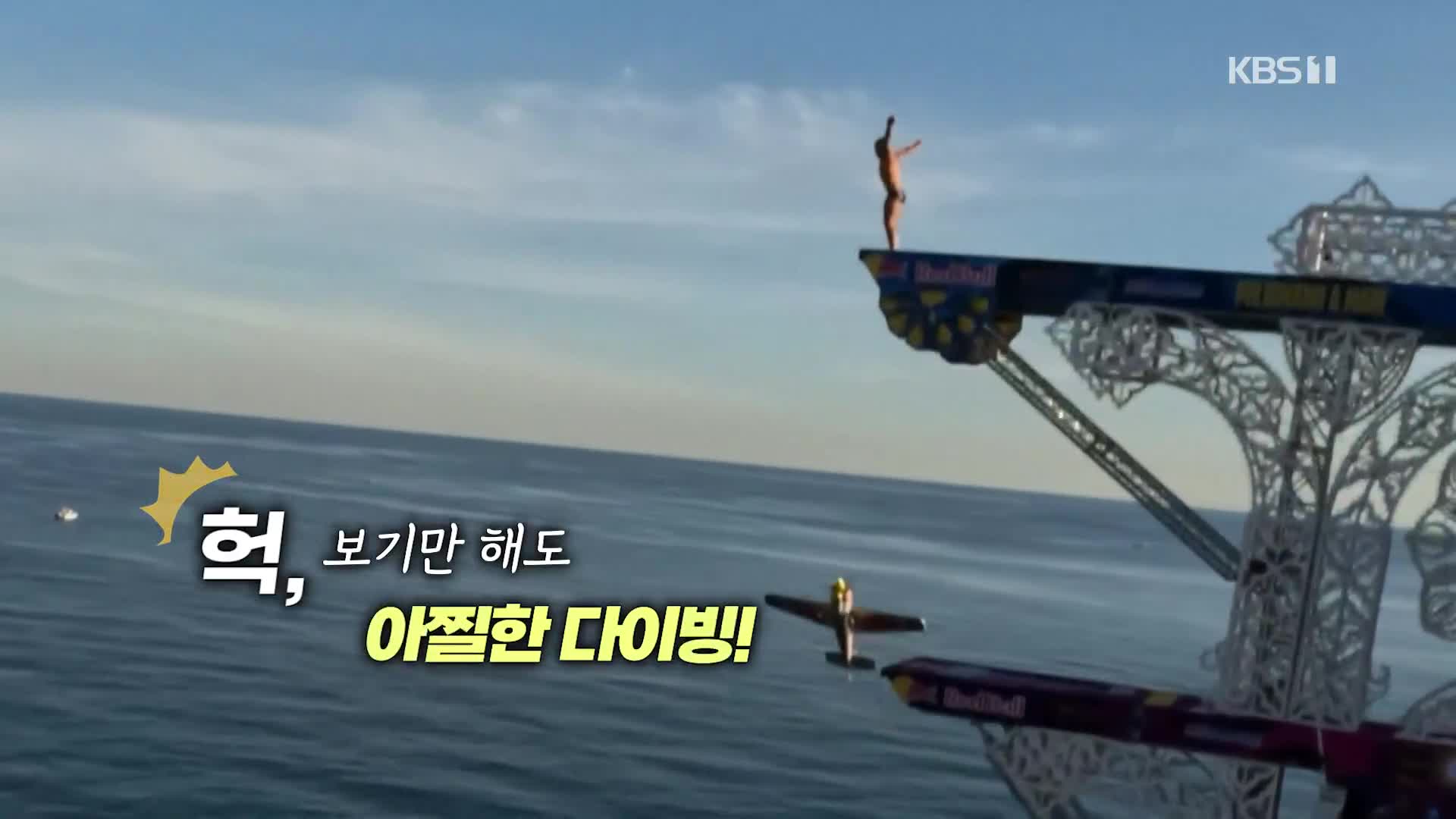 오늘의 영상