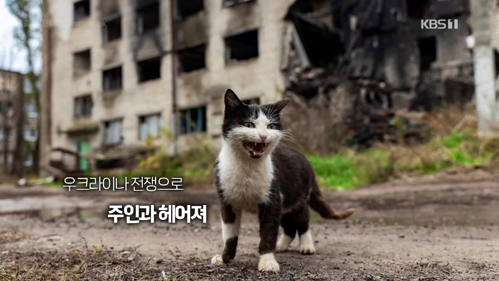 오늘의 영상