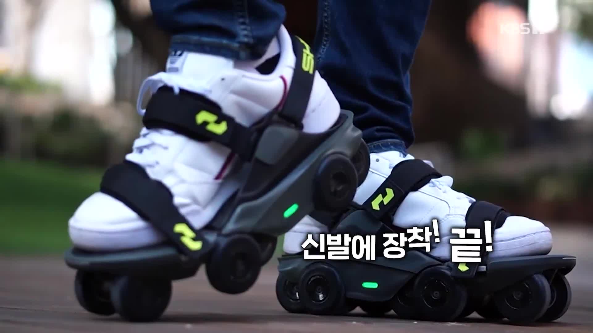 오늘의 영상