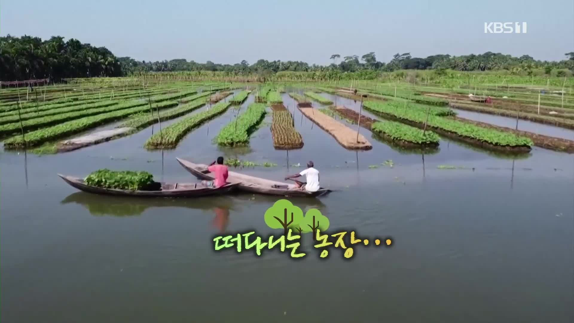 오늘의 영상