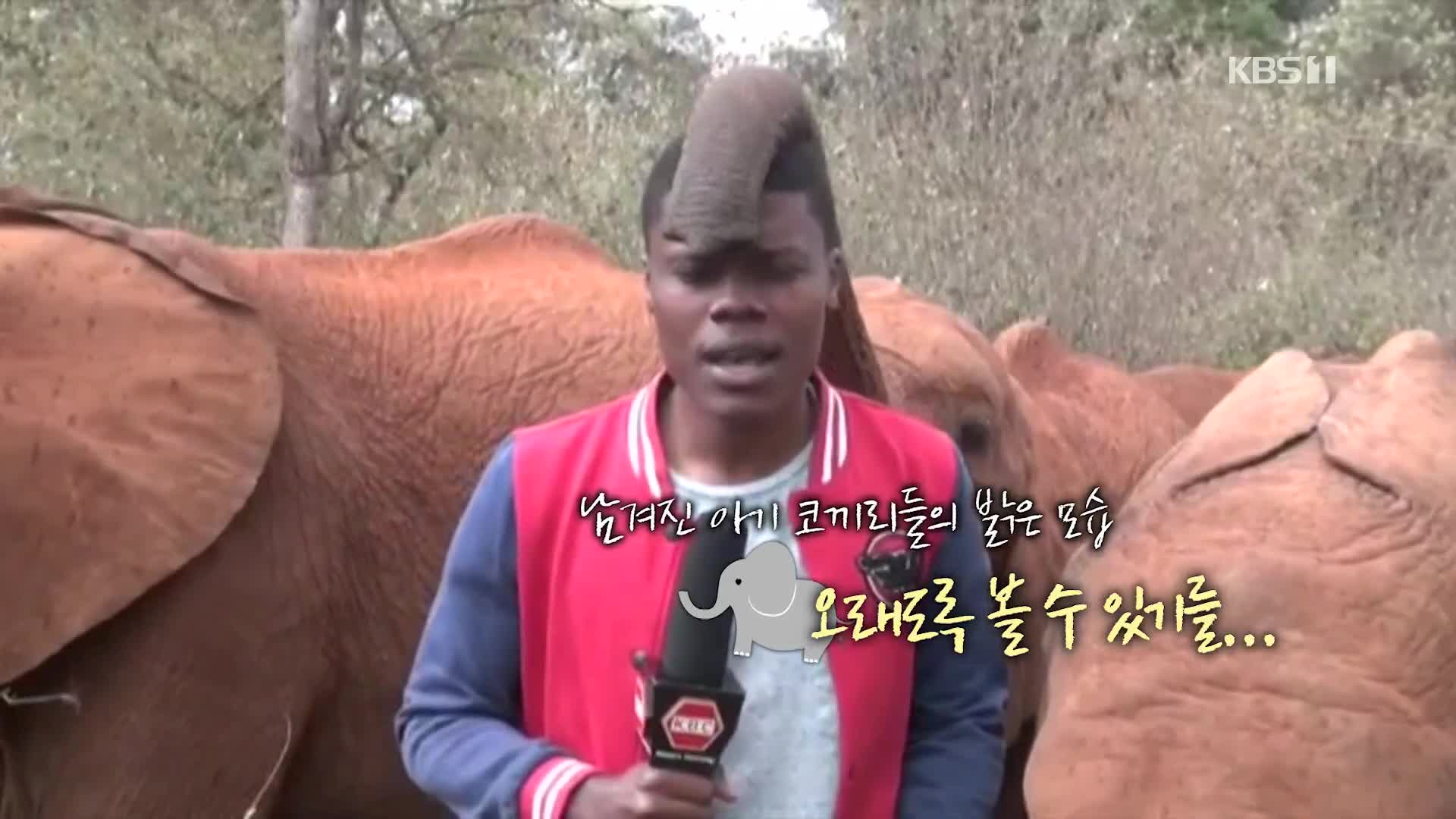[오늘의 영상]