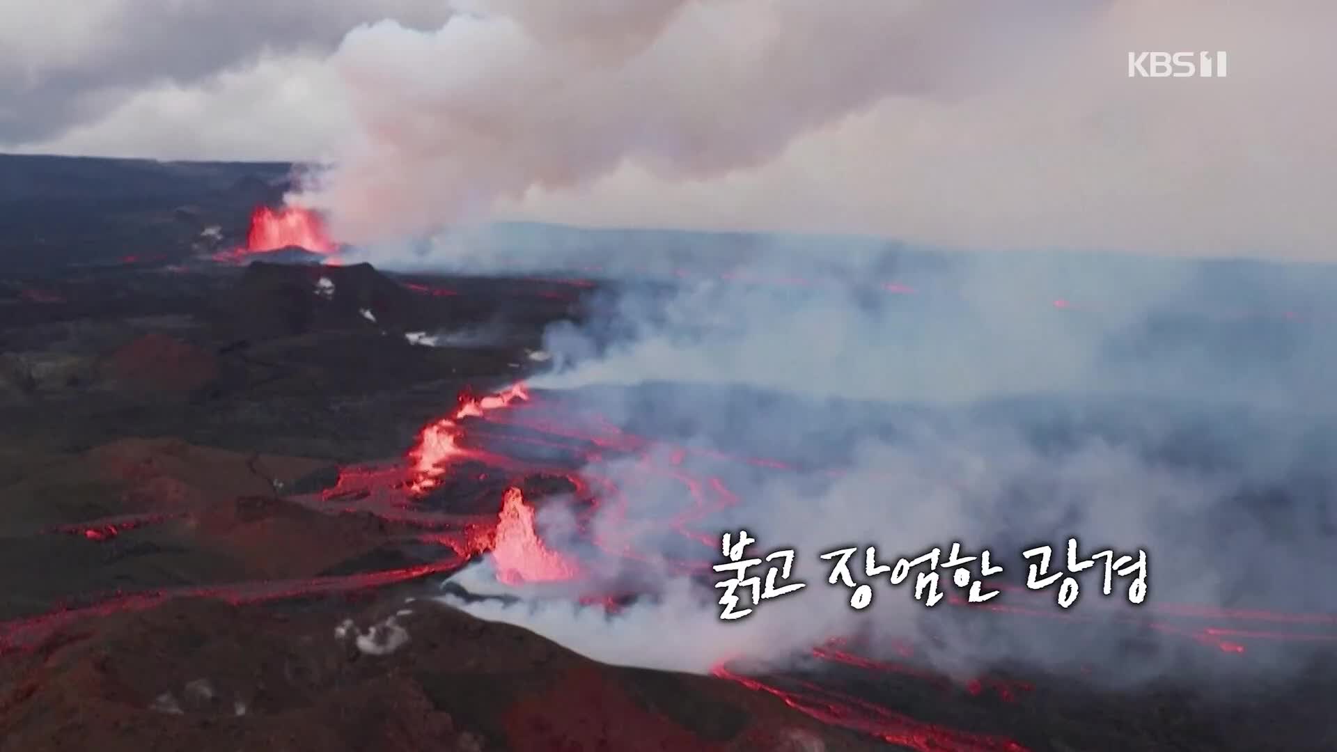 오늘의 영상