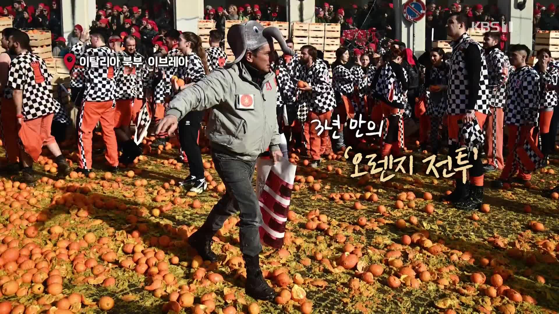 [오늘의 영상] 3년 만에 열린, 오렌지 전투 현장!