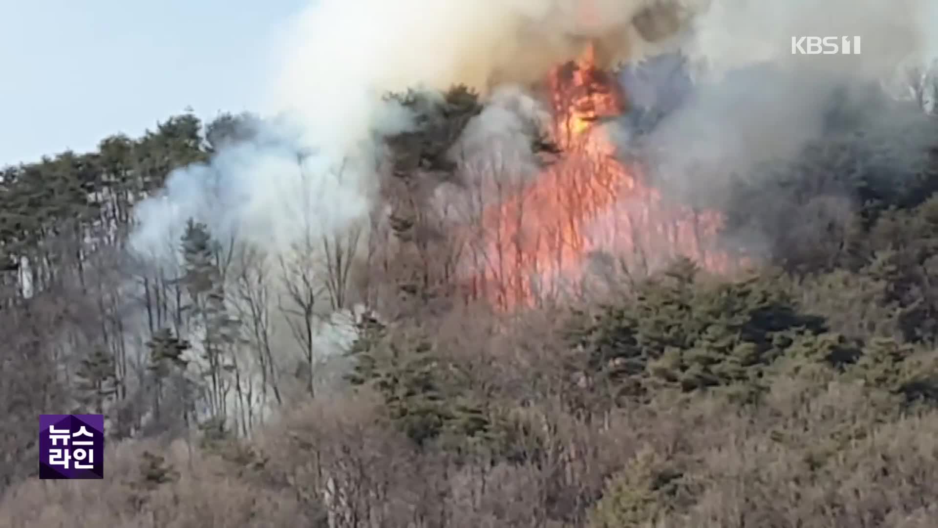 올들어 산불 낸 76명 입건…“부주의도 징역형”