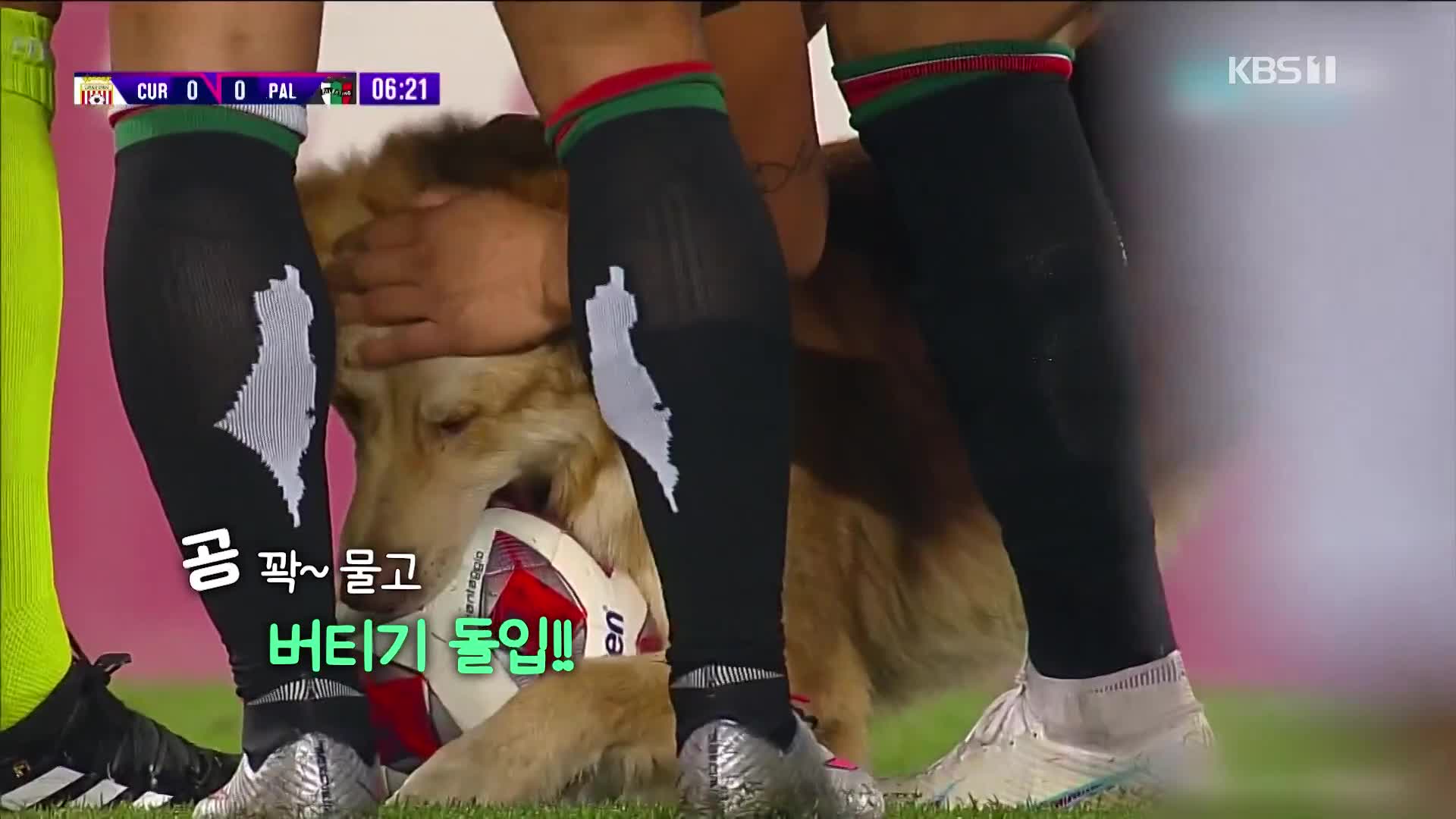 [오늘의 영상] ‘신들린 공 보유력’ 선수의 정체는?
