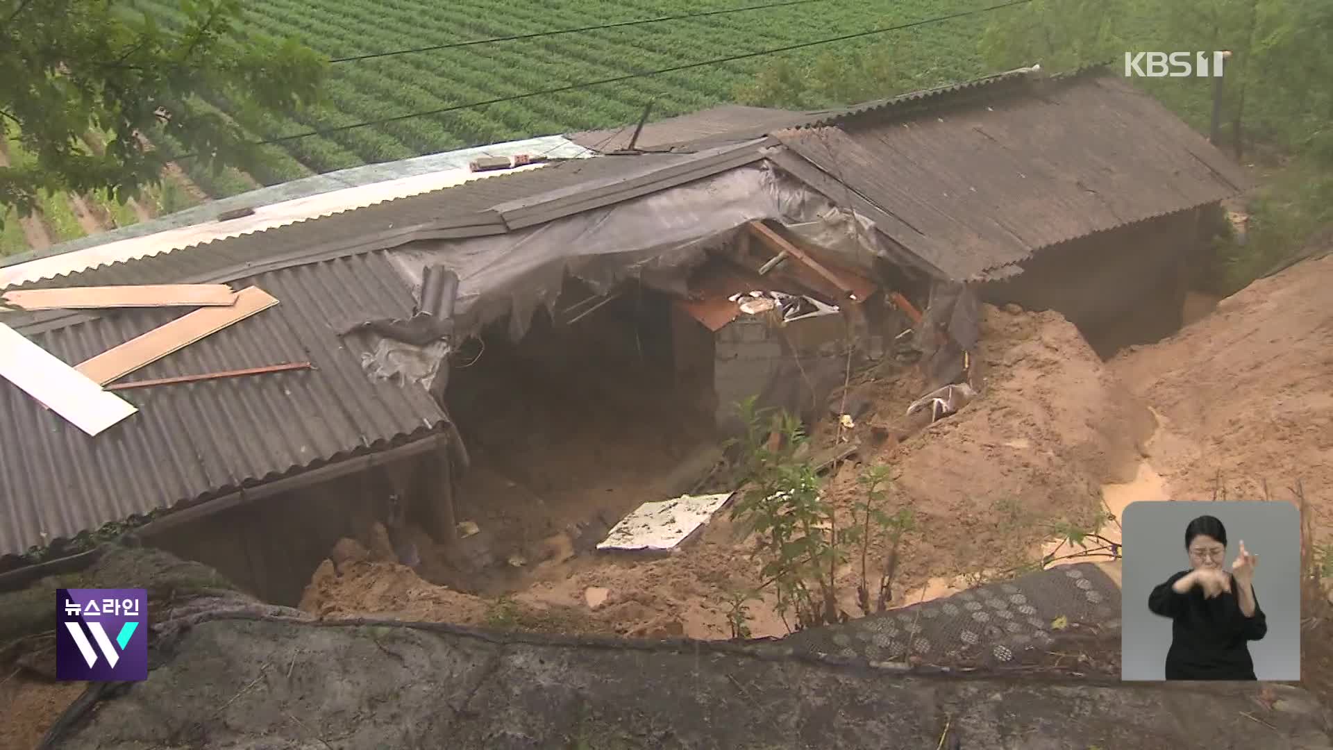 [큐레이터 W] 영주 산사태…14개월 심정지 외