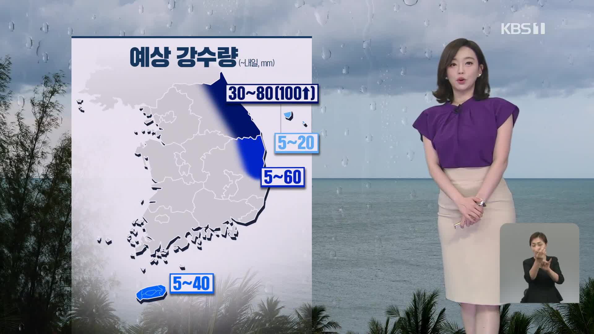 [라인W 날씨] 강원 영동 많은 비…목요일 남해안 태풍 상륙