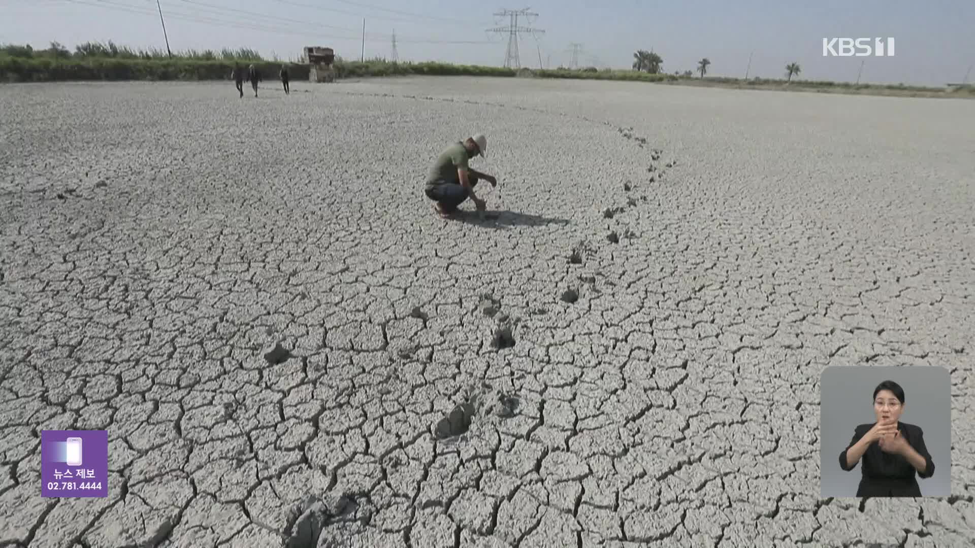 이라크, 물 부족에 양어장까지 폐쇄