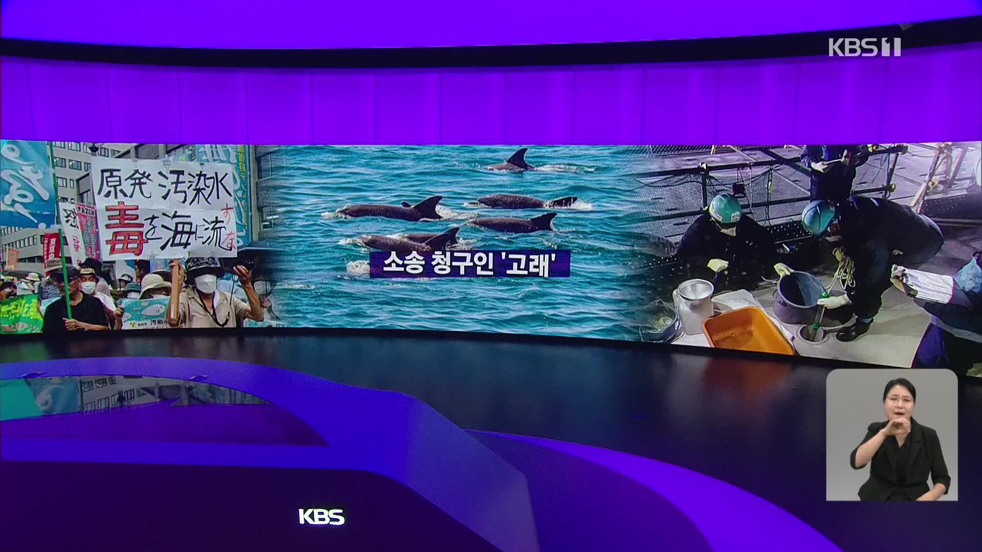 [오늘의 W] 소송 청구인 ‘고래’ 외