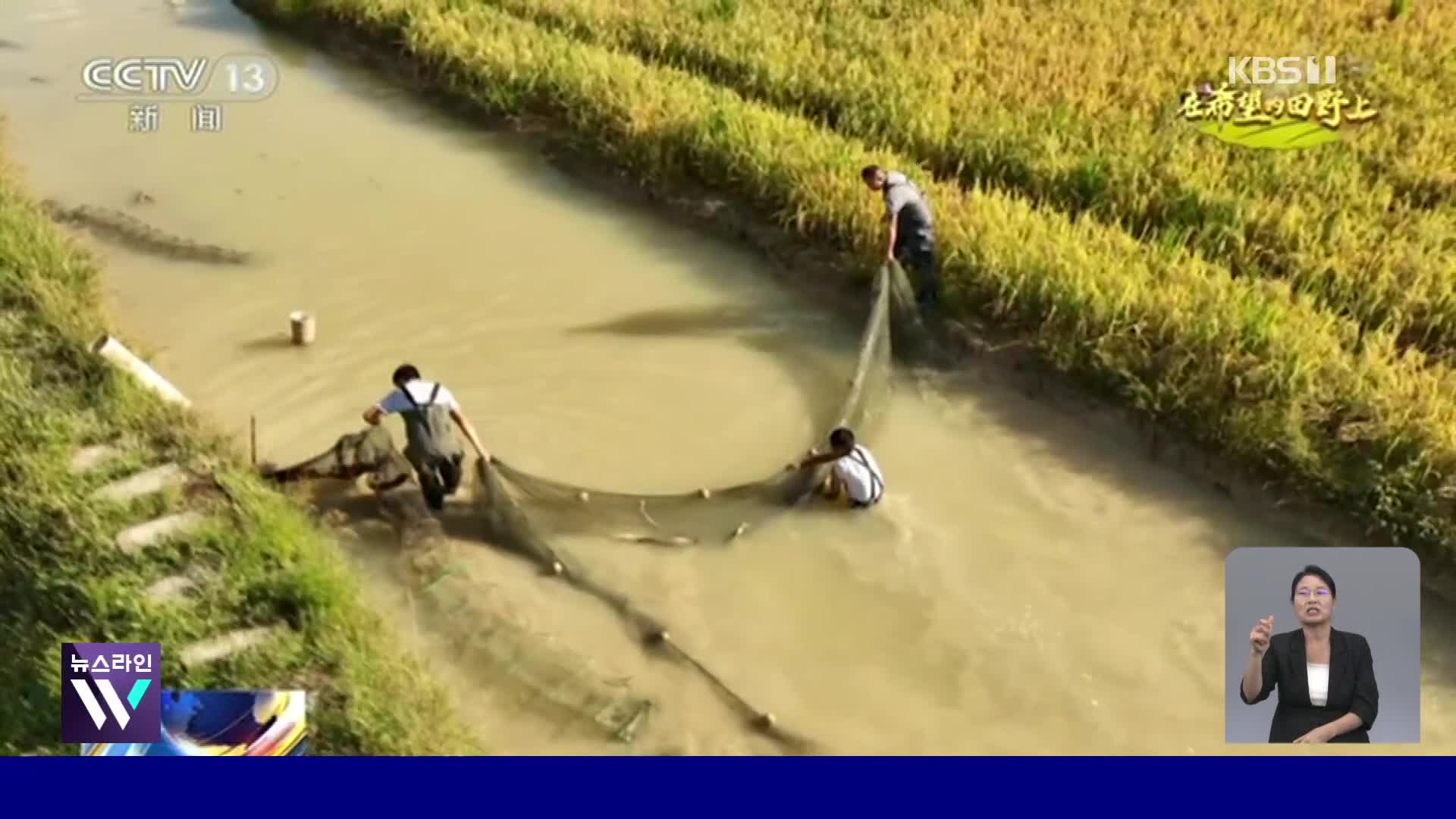 중국, 논농사에 양식업 결합해 소득 증대 