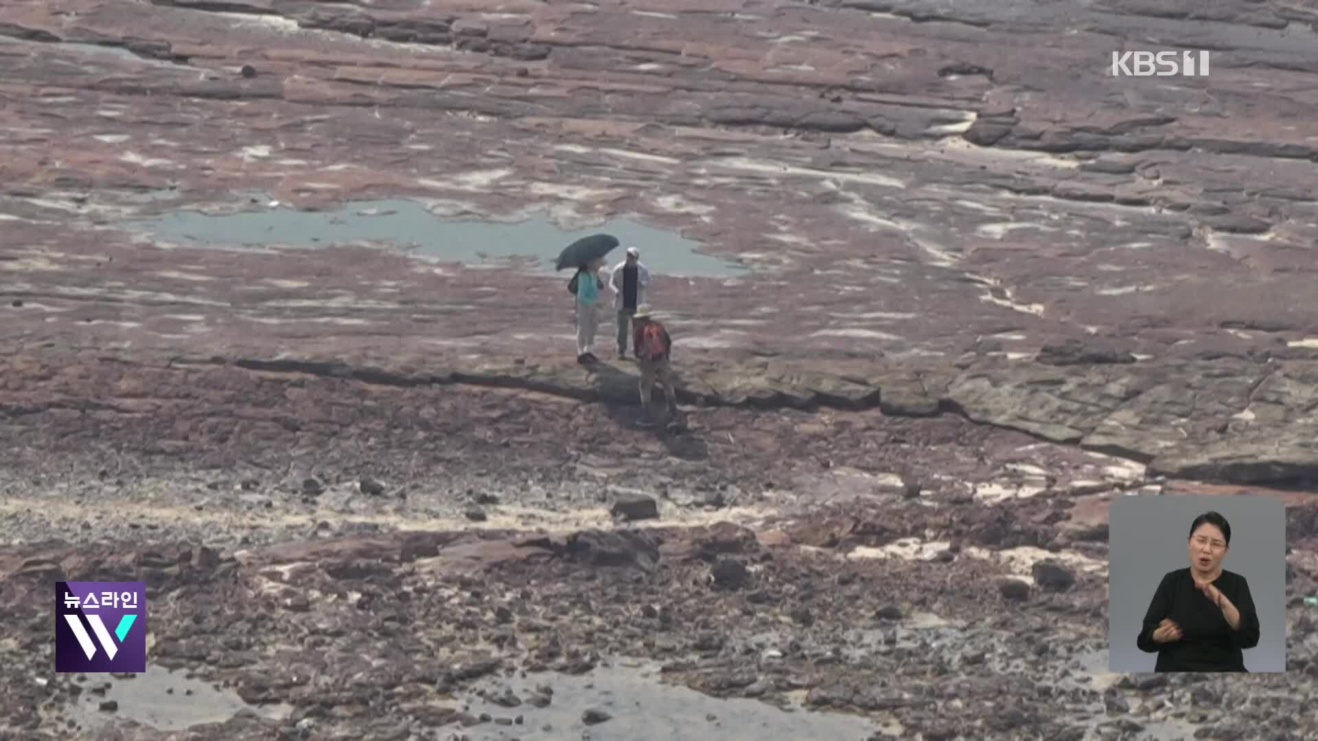 브라질, 아마존 강바닥에서 드러난 고대 조각품