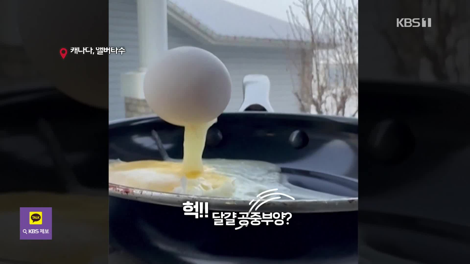 [오늘의 영상] 공중 부양 달걀, 벌떡 선 휴지, 하늘로 치솟은 라면 면발…이게 뭔 일이야?