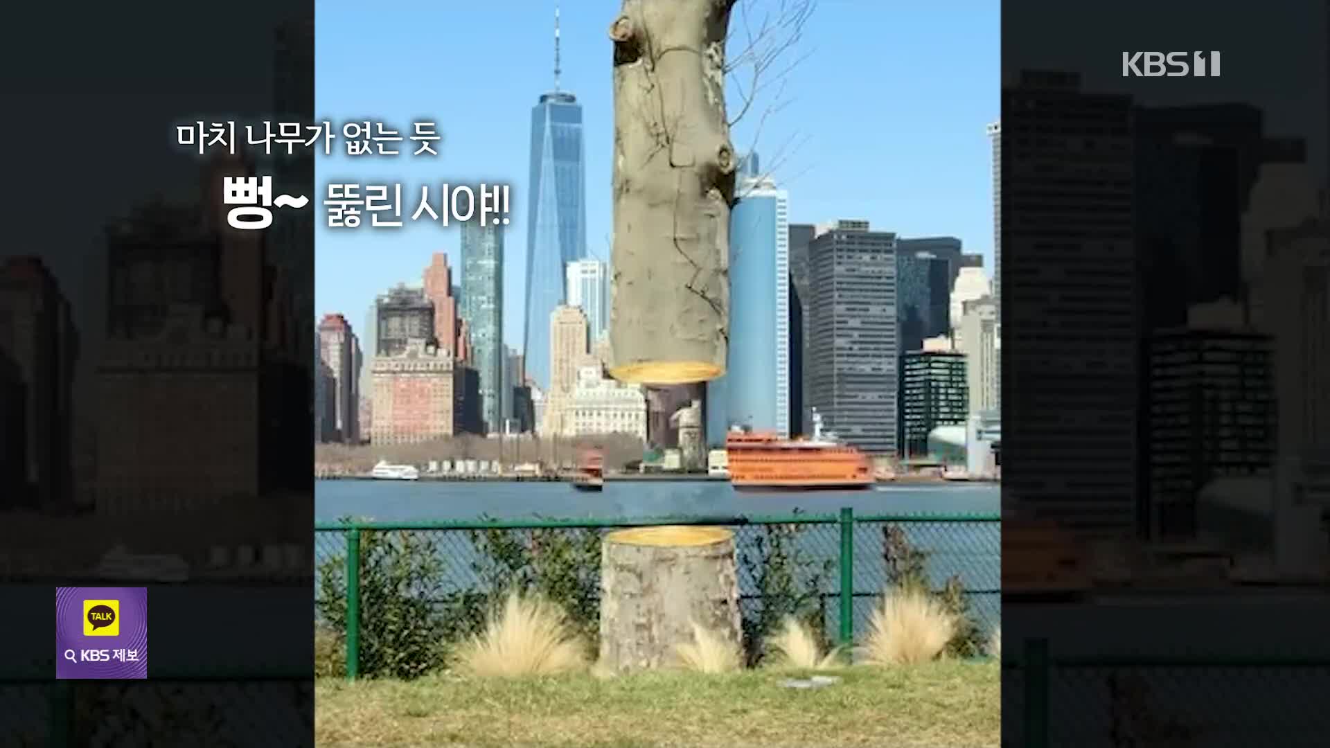 [오늘의 영상] 투시되는 나무?? 정교한 그림이 만든 ‘착시 예술’