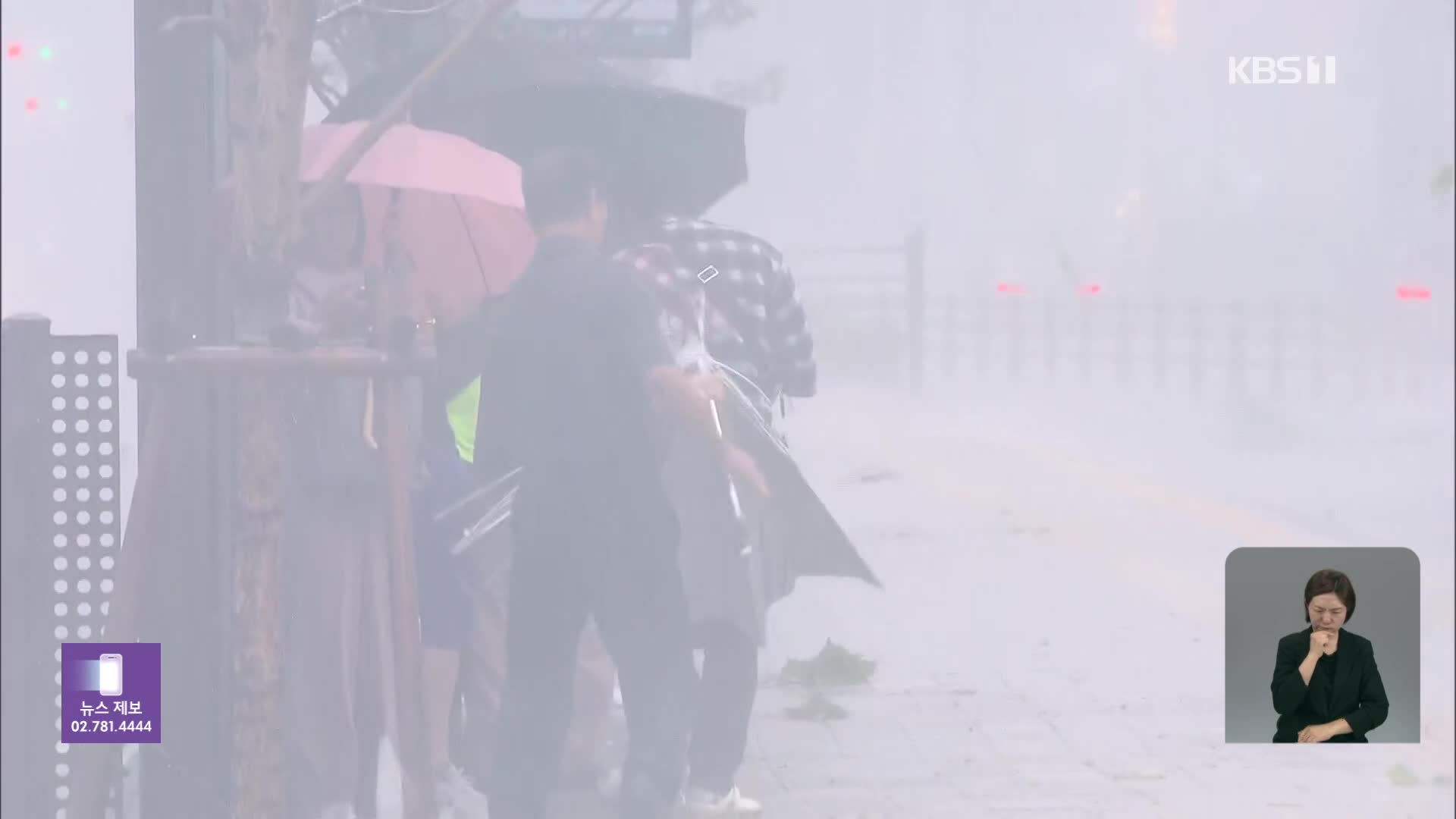 강해진 장맛비, 사라진 태풍…라니냐가 온다