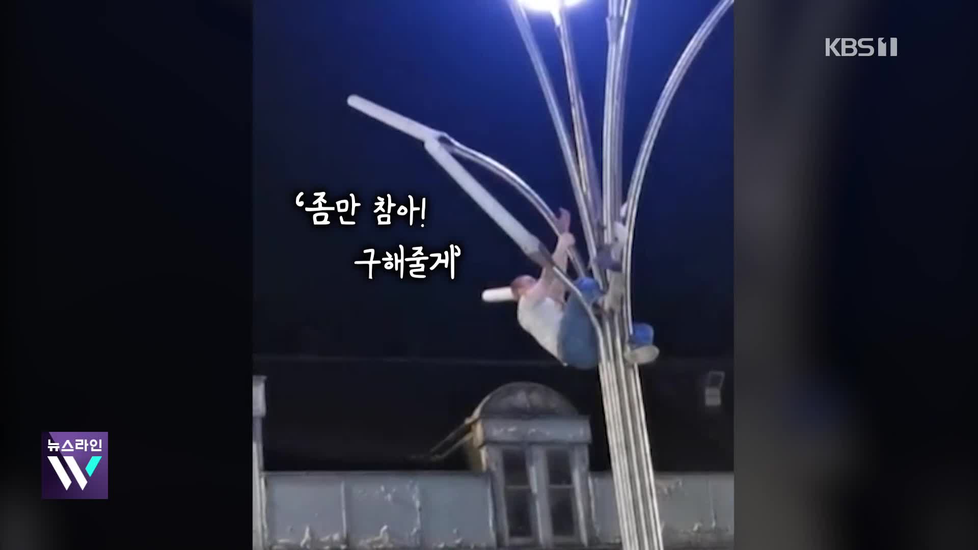 [오늘의 영상] 달밤에 가로등 타는 남성의 대반전