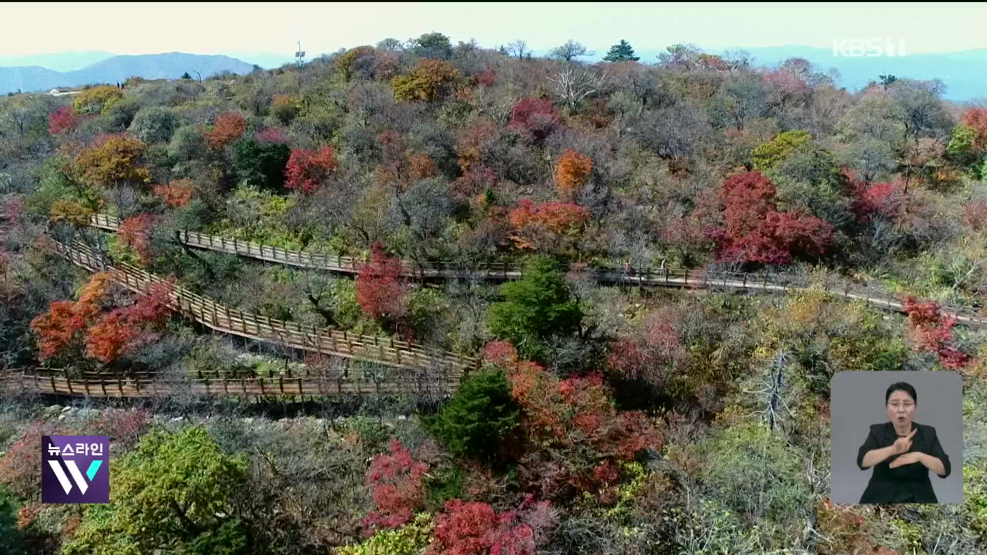 폭염에 단풍도 밀렸다…설악산은 한 달 뒤 절정