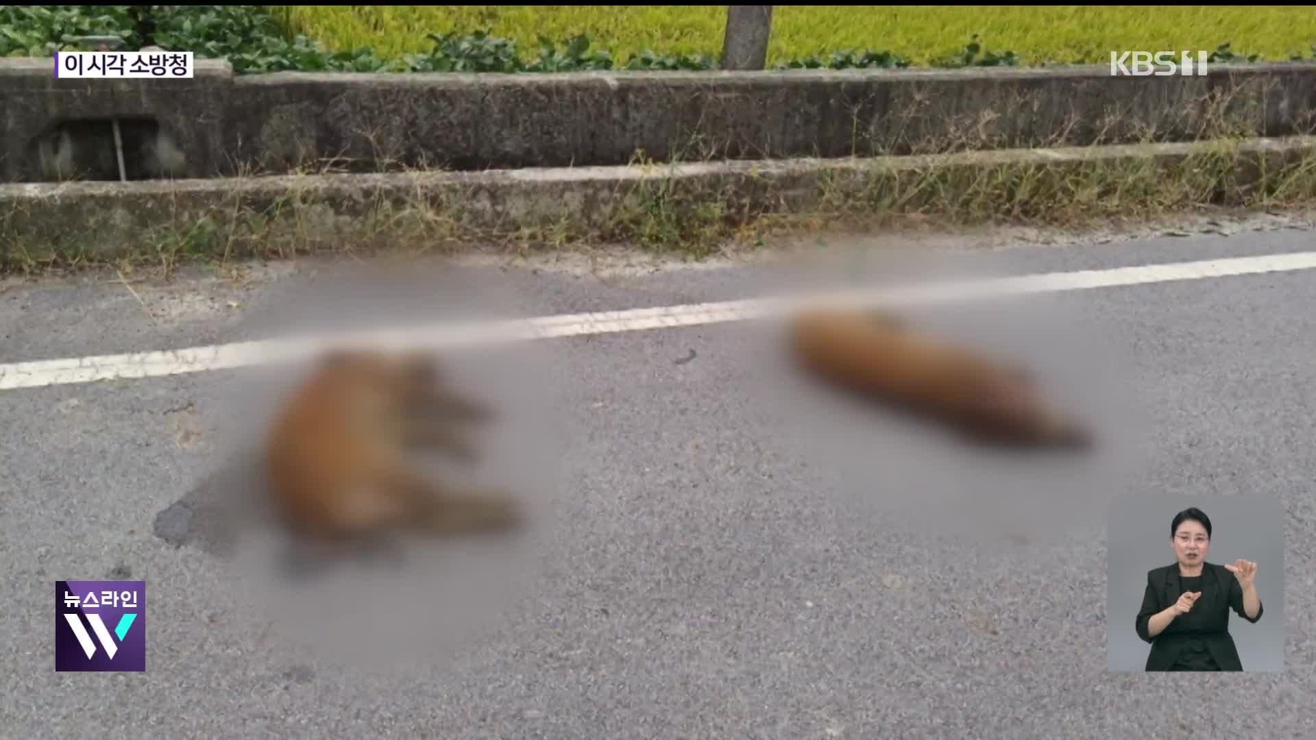 이 시각 소방청 상황실