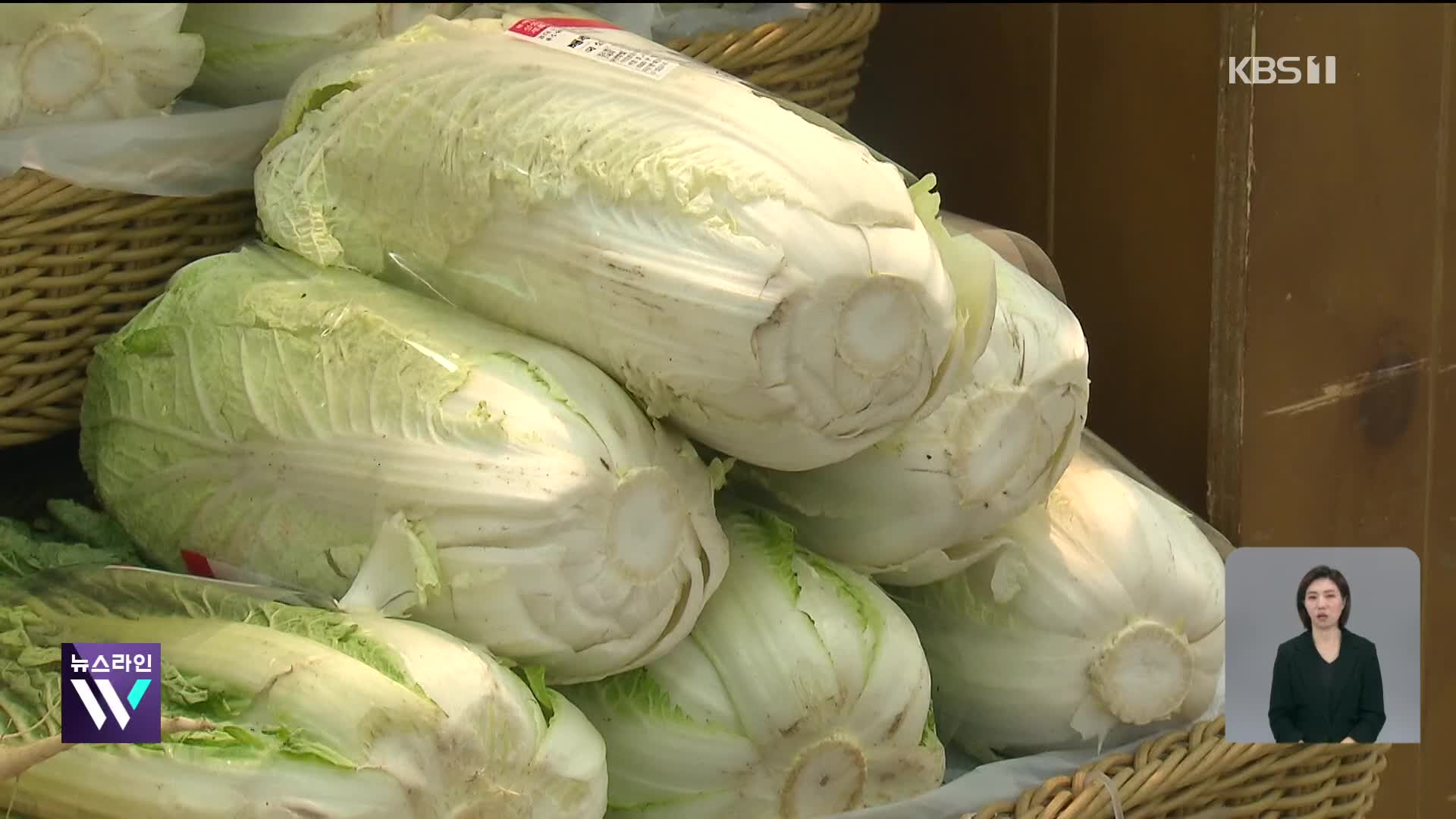 중국 수입배추 공개…“수급 상황 따라 최대 1100톤 수입”