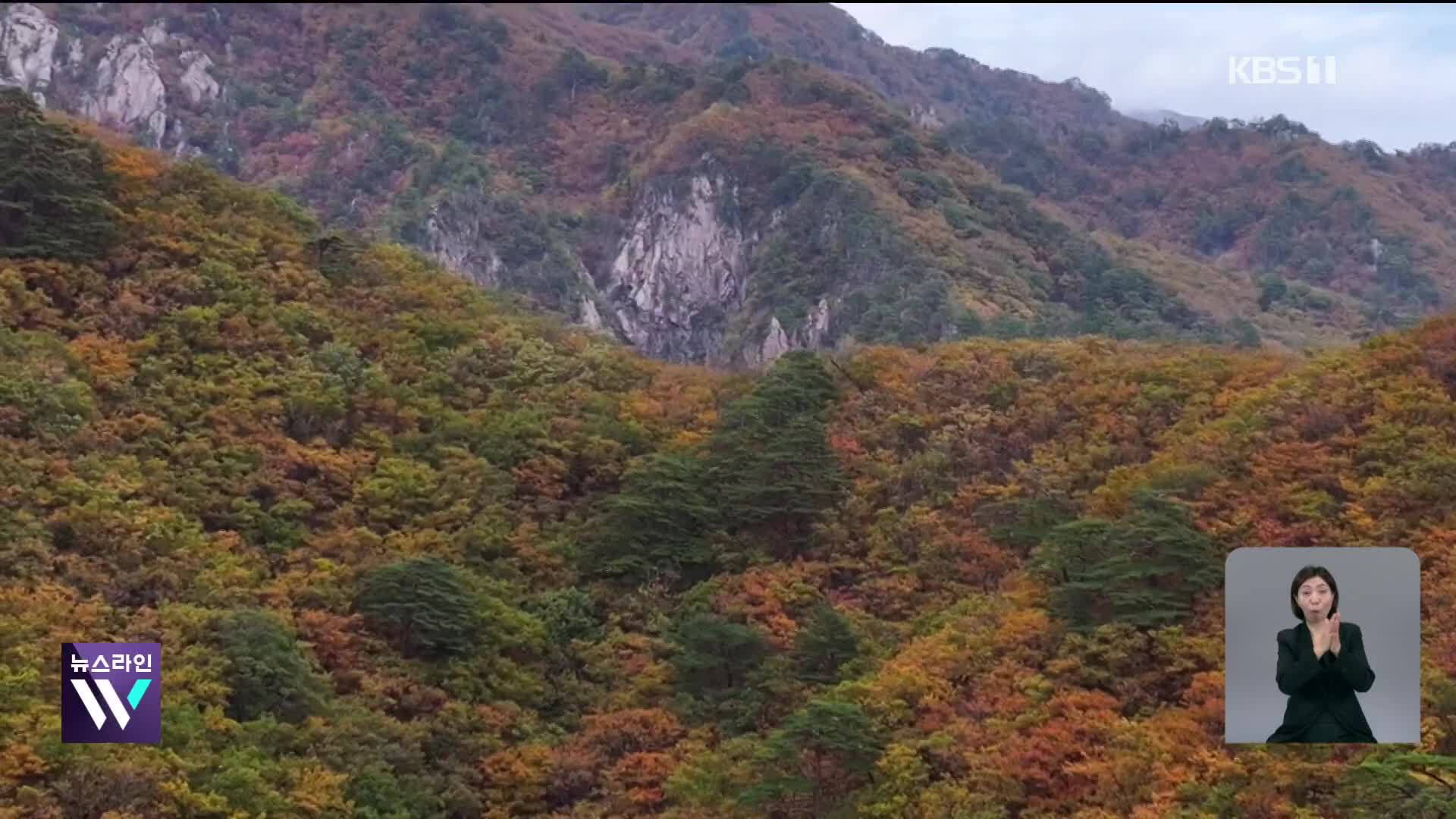 물드는 설악 단풍…이번 주말 절정 맞을 듯