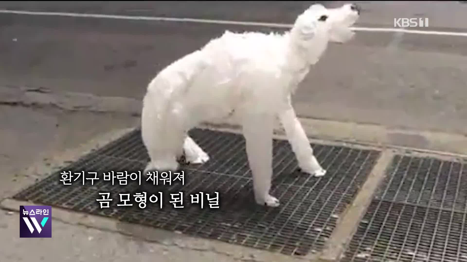 [오늘의 영상] 뉴욕 지하철 환기구에 ‘북극곰’ 깜짝 출몰?!