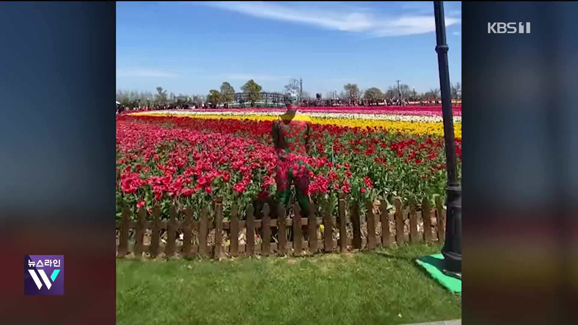 [오늘의 영상] 투명망토가 현실로? 인간 카멜레온 등장